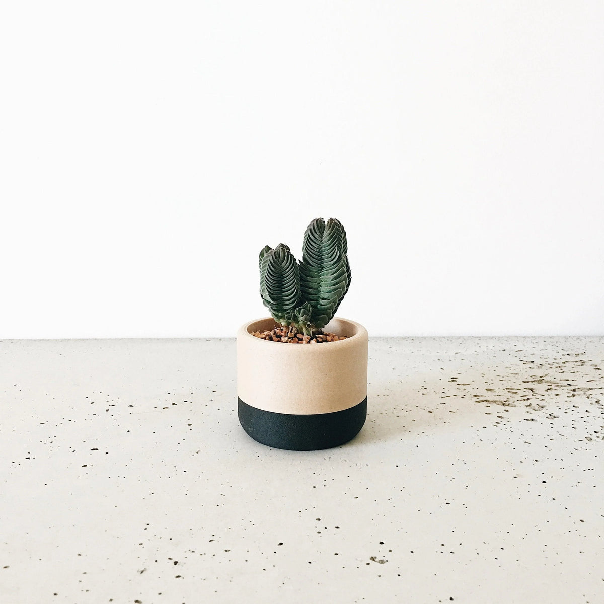 ECOTOOL Indoor Planter - Minimum Design