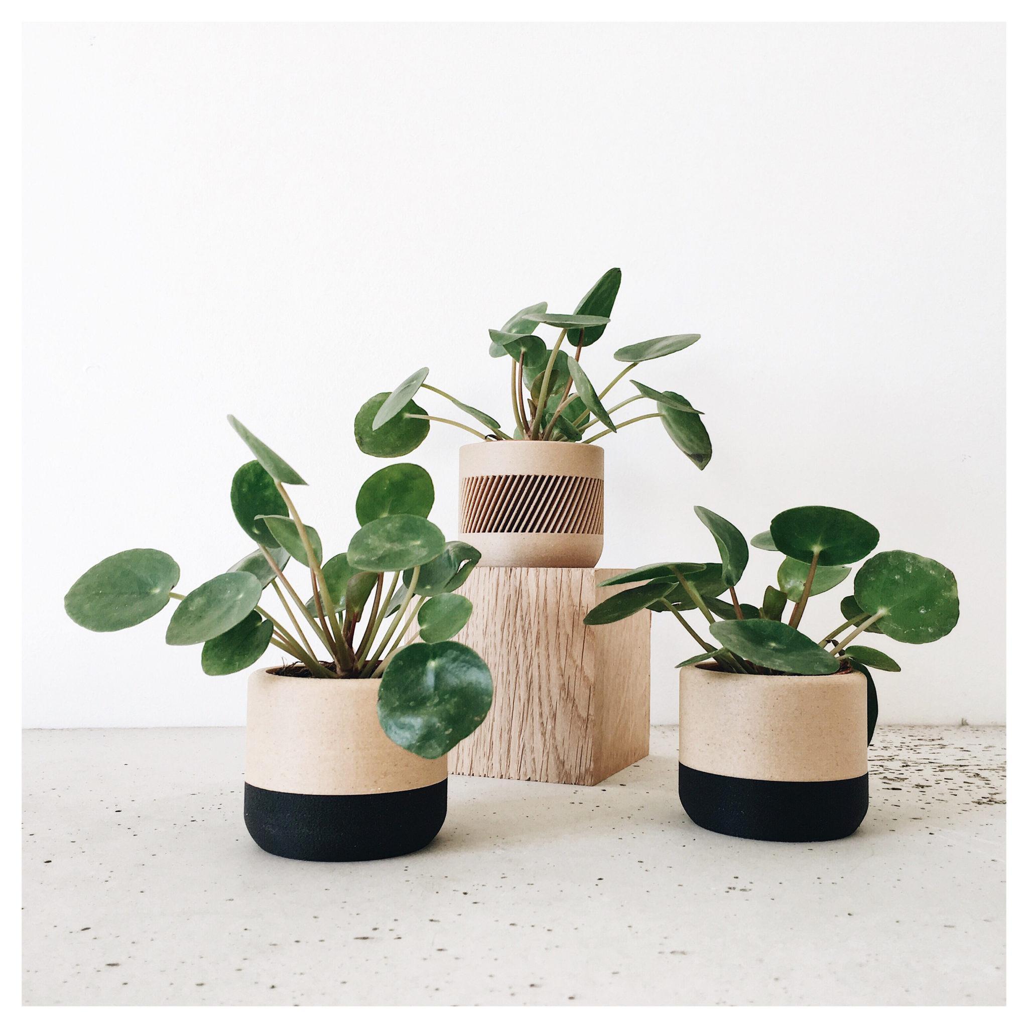 ECOTOOL Indoor Planter - Minimum Design