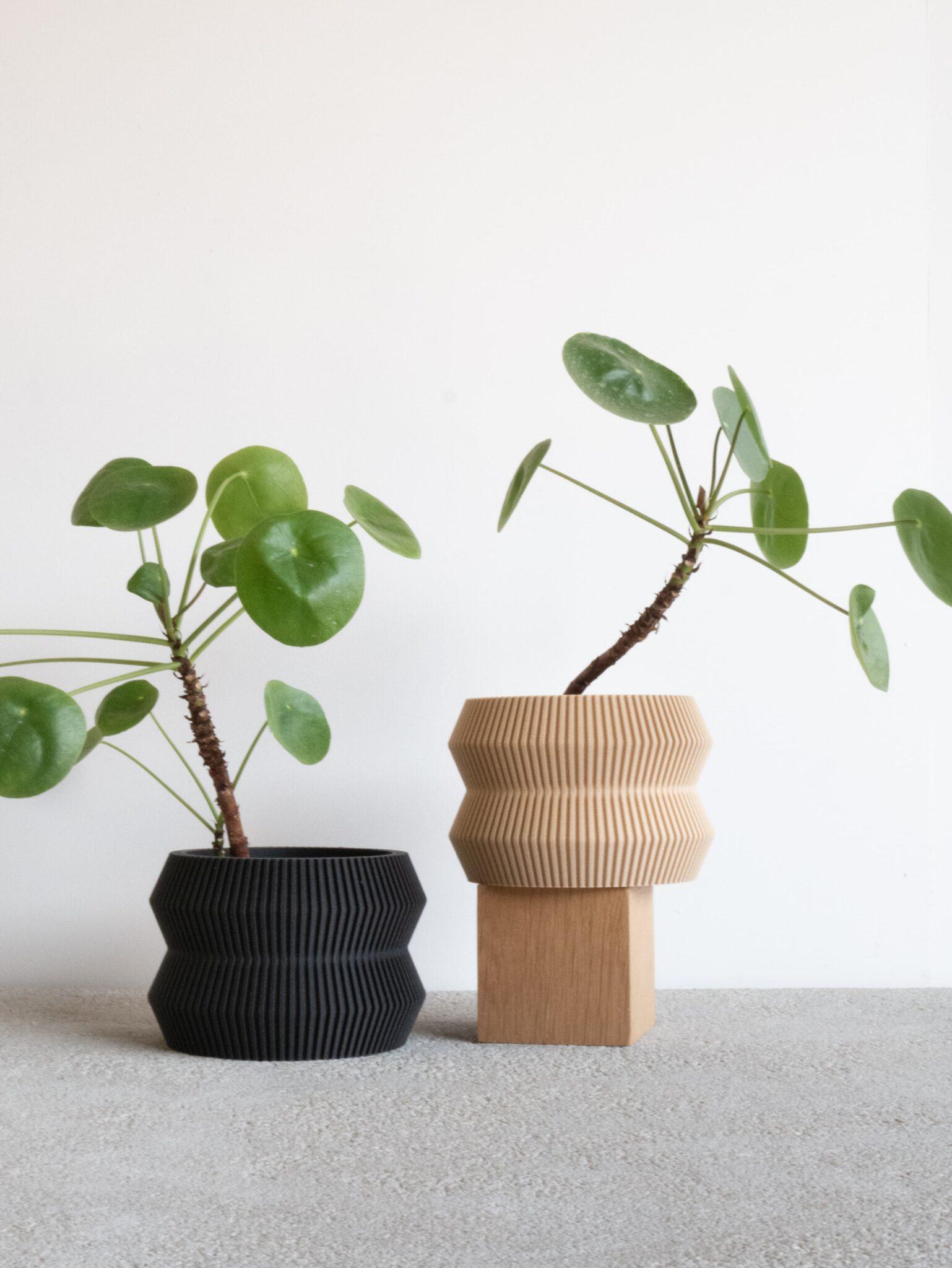 Twi ITO planters, one in beige color, and one in black color with Pilea plants #color_black