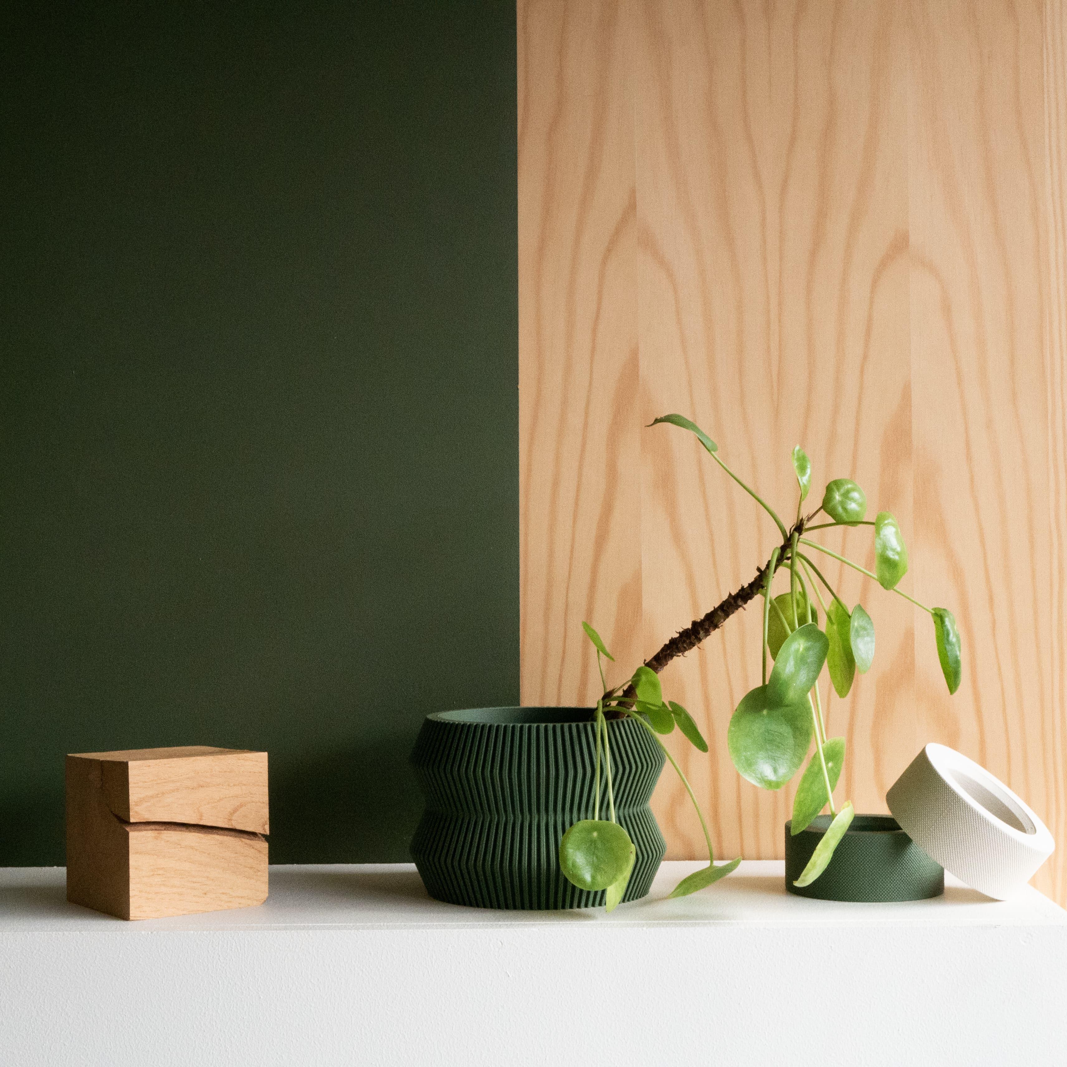 ITO green plant holder with a pilea plant - Minimum Design #color_green