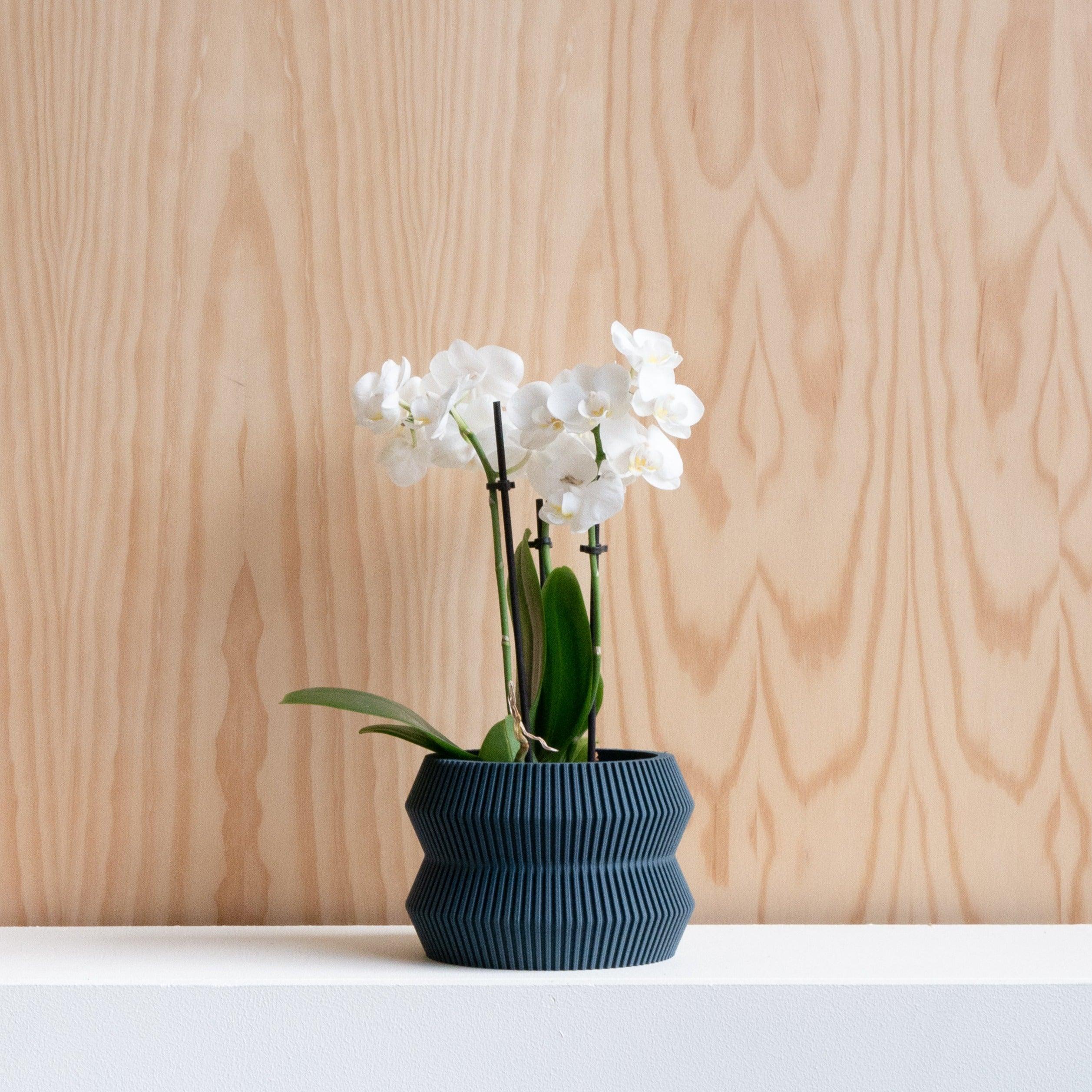 ITO Indoor Planter - Minimum Design #color_blue