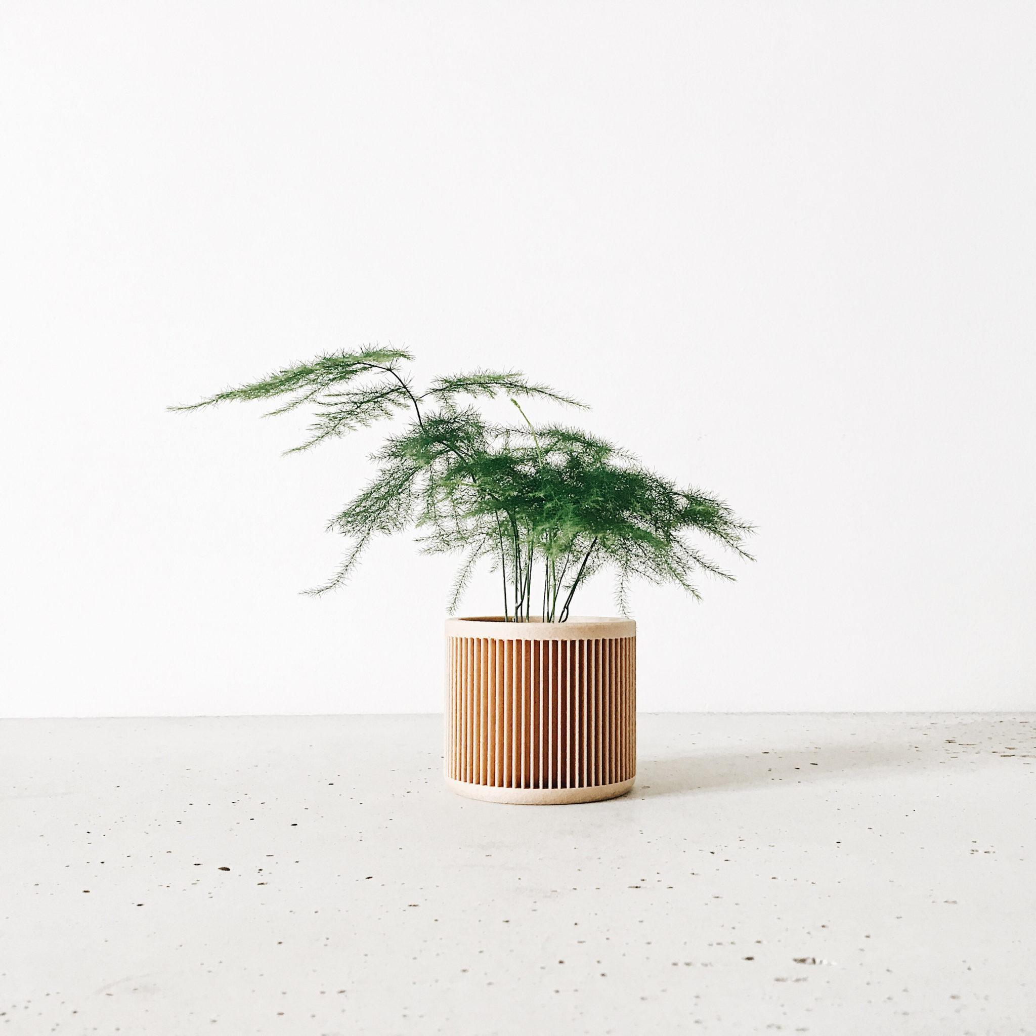 japan wood indoor planter #color_Natural