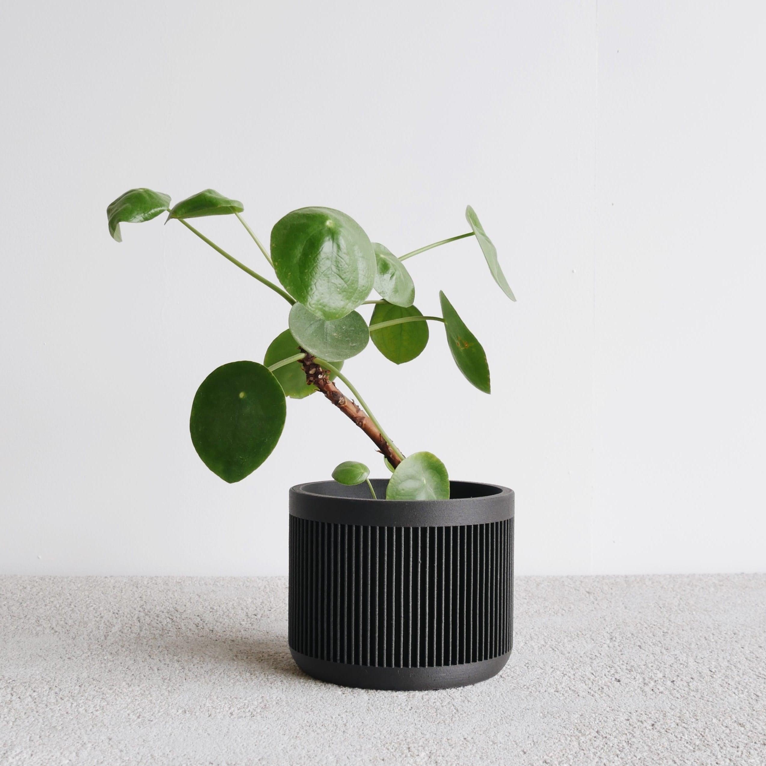 Japan wood planter Black #color_Black