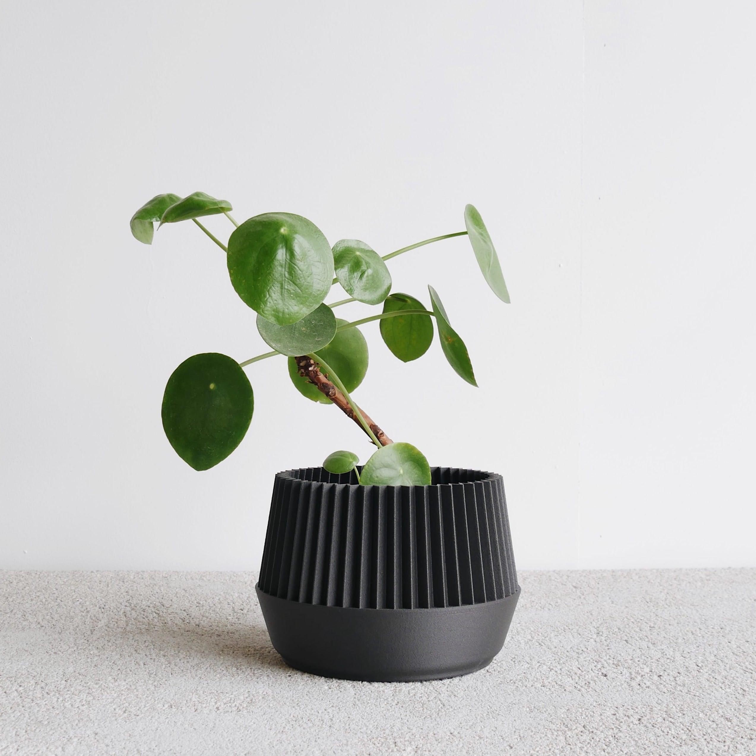 Black Kobe indoor planter #color_Black