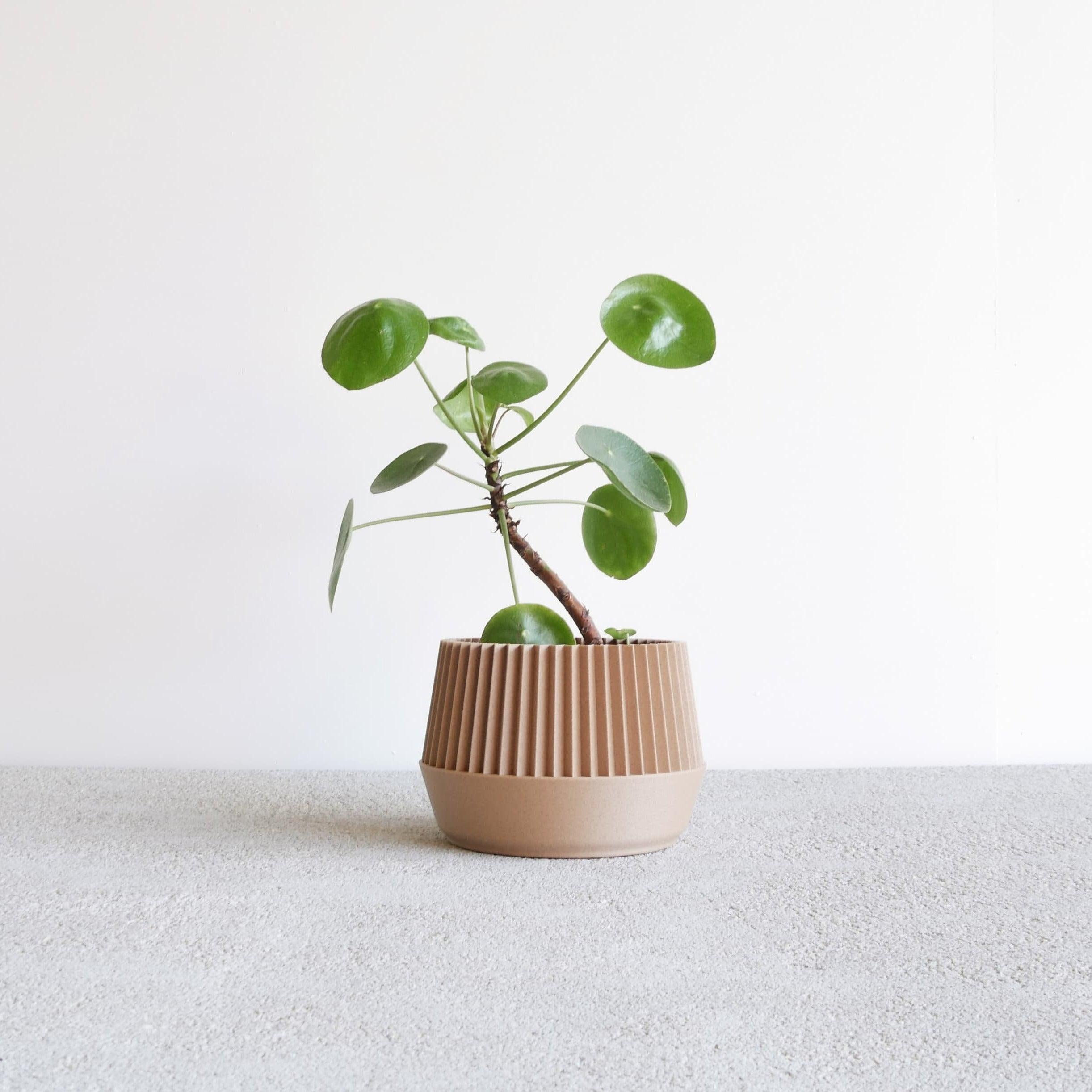 Pot Kobe natural wood #color_Natural
