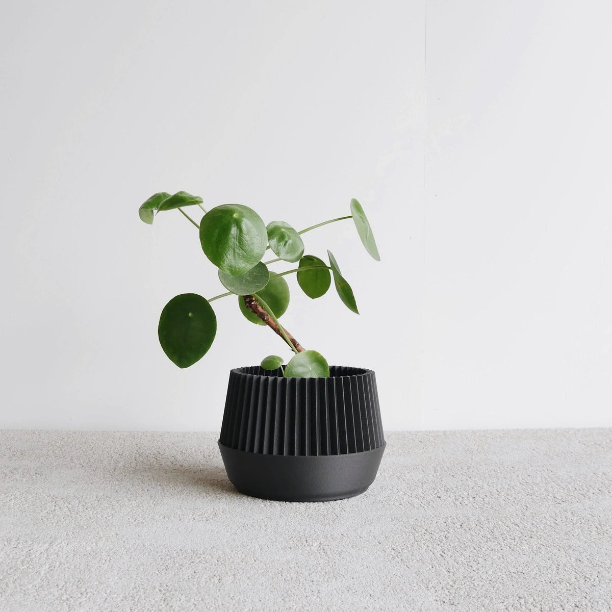 Black Kobe indoor planter #color_Black