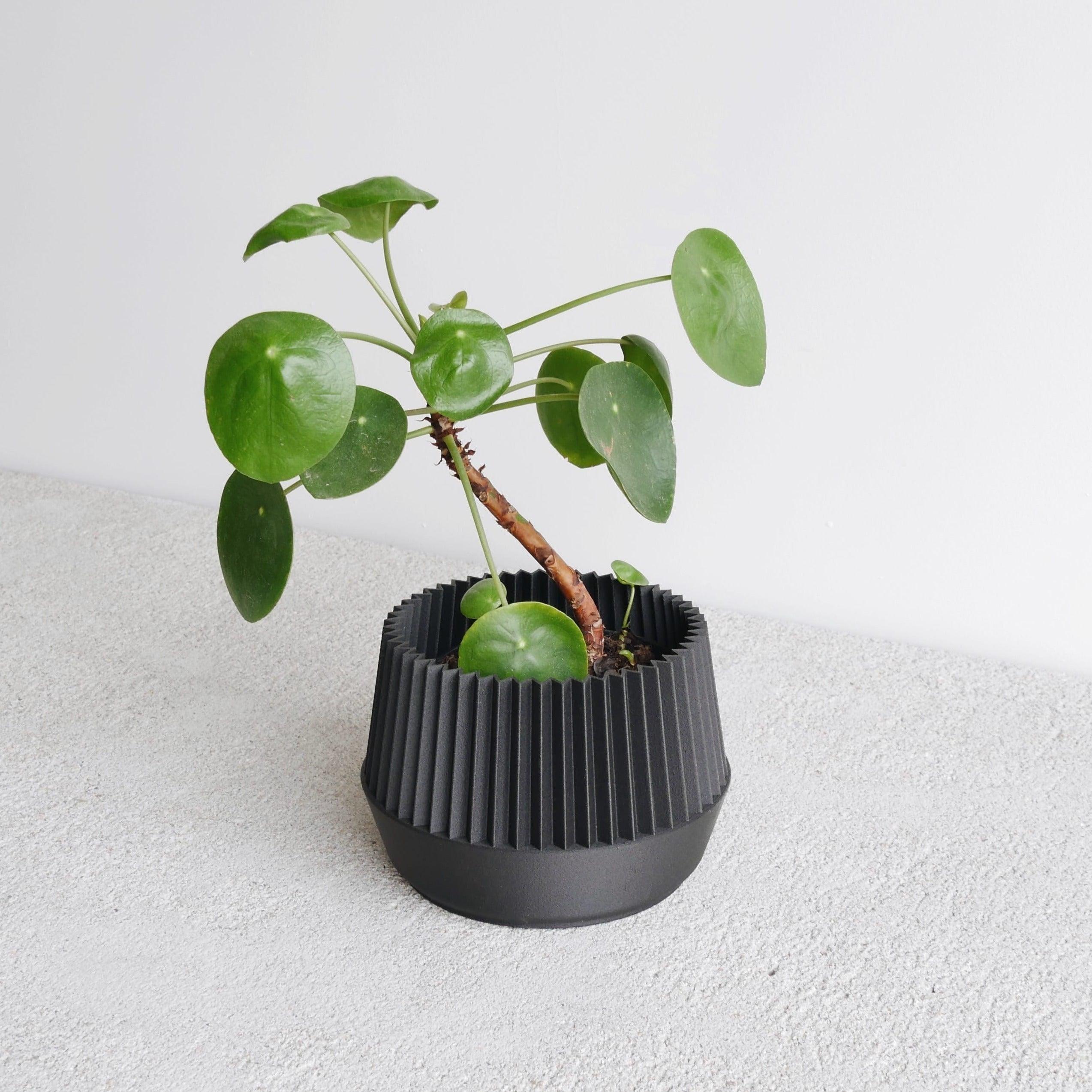 Black Kobe indoor planter #color_Black