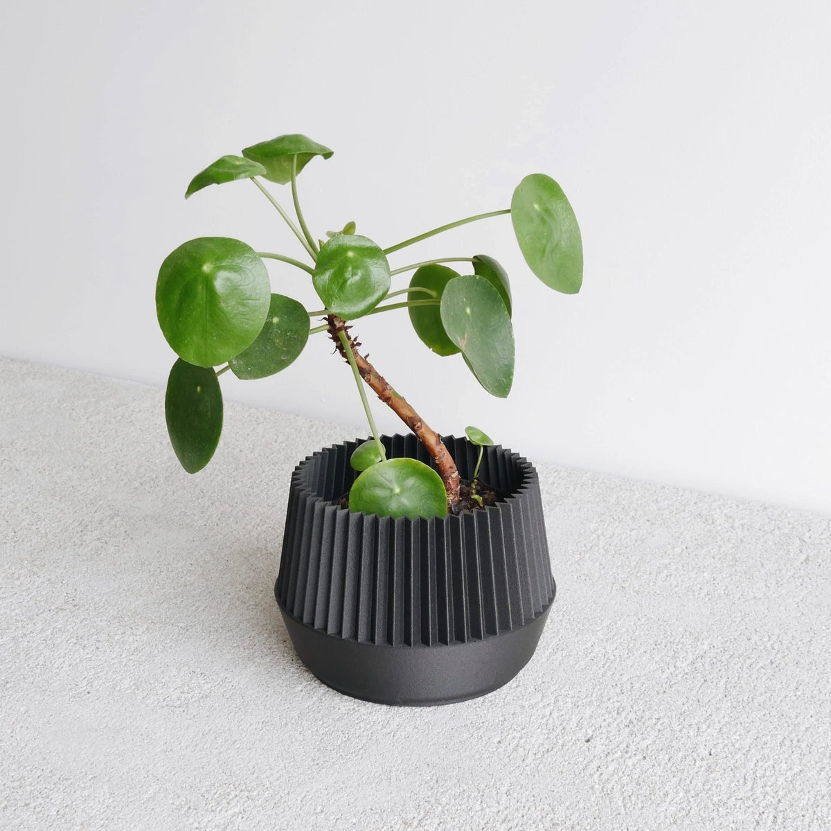 Black Kobe indoor planter #color_Black