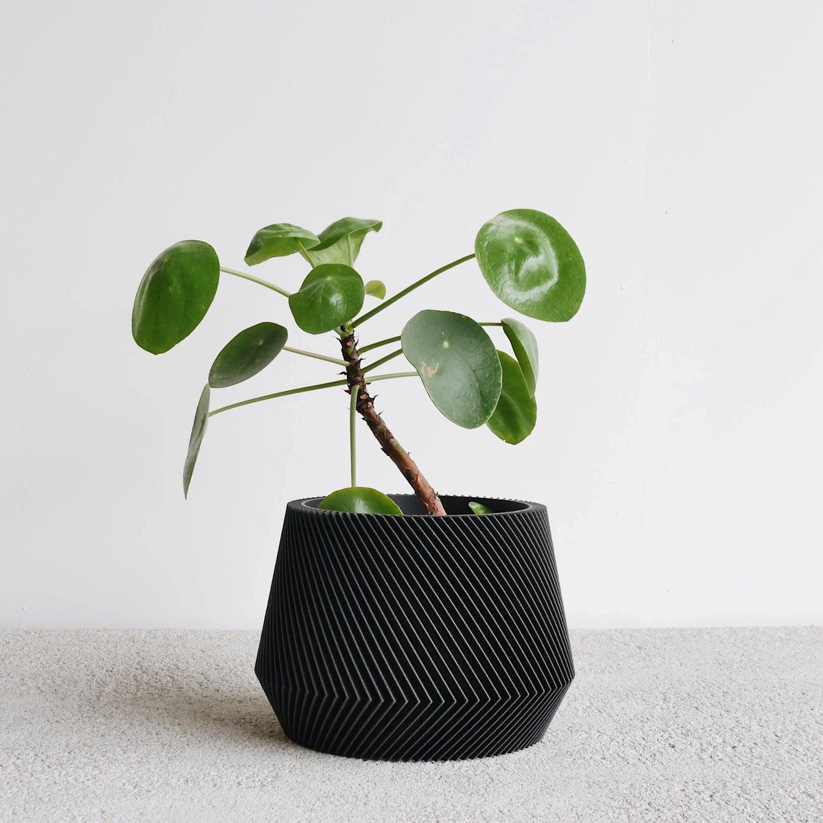Large Indoor Planter - OSLO - Minimum Design #color_black