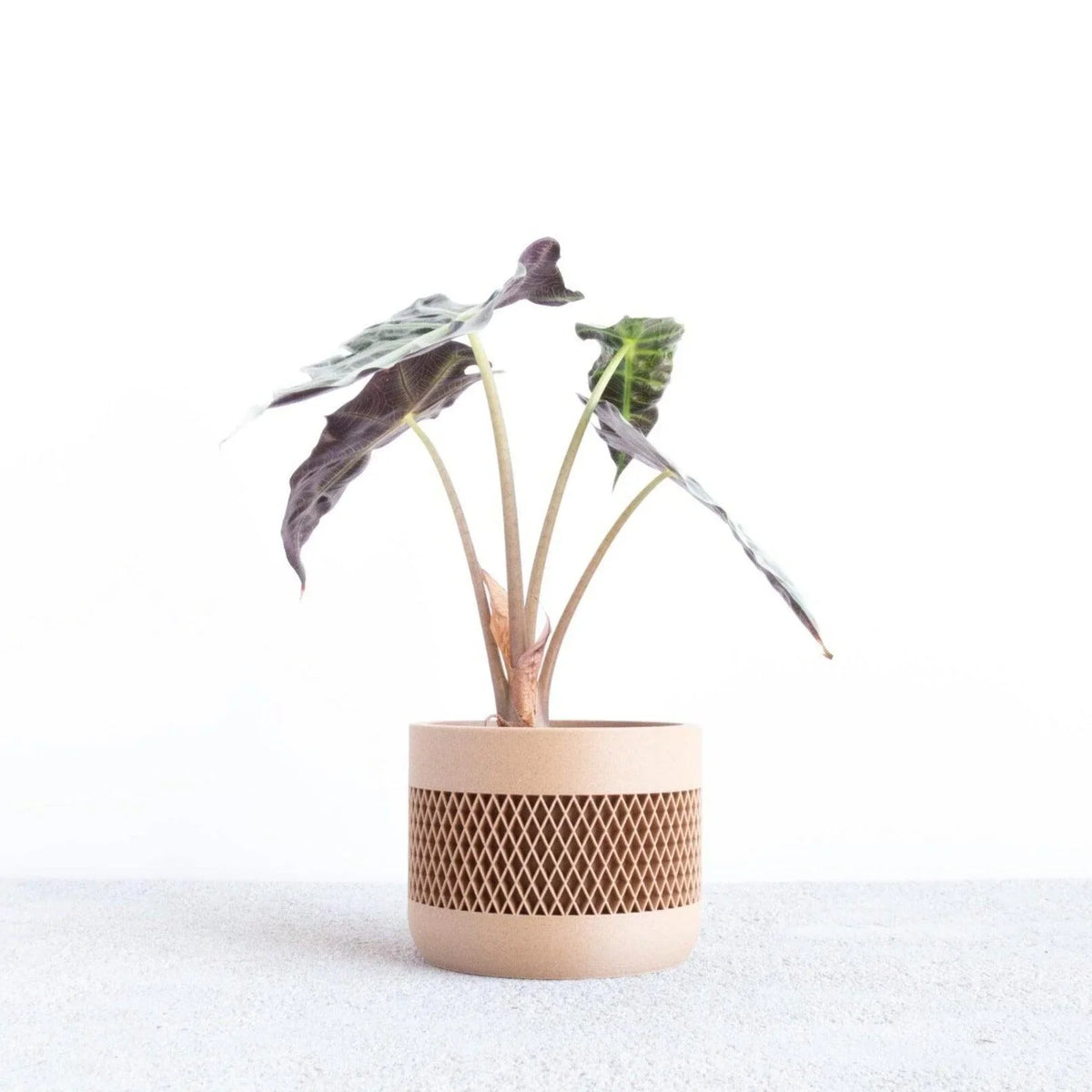 math indoor wood planter