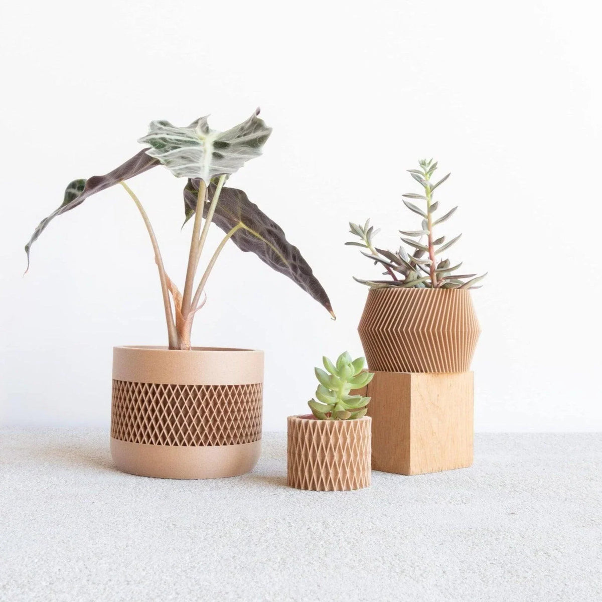 math indoor wood planter