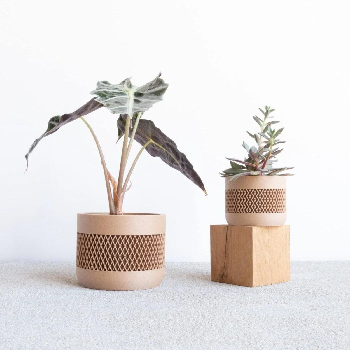 mat indoor wood planter