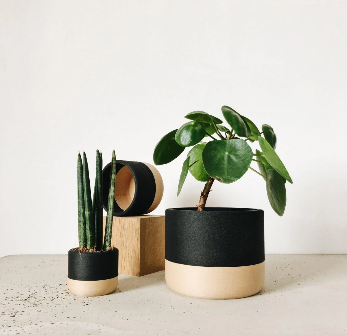 NAIROBI Indoor Planter - Minimum Design