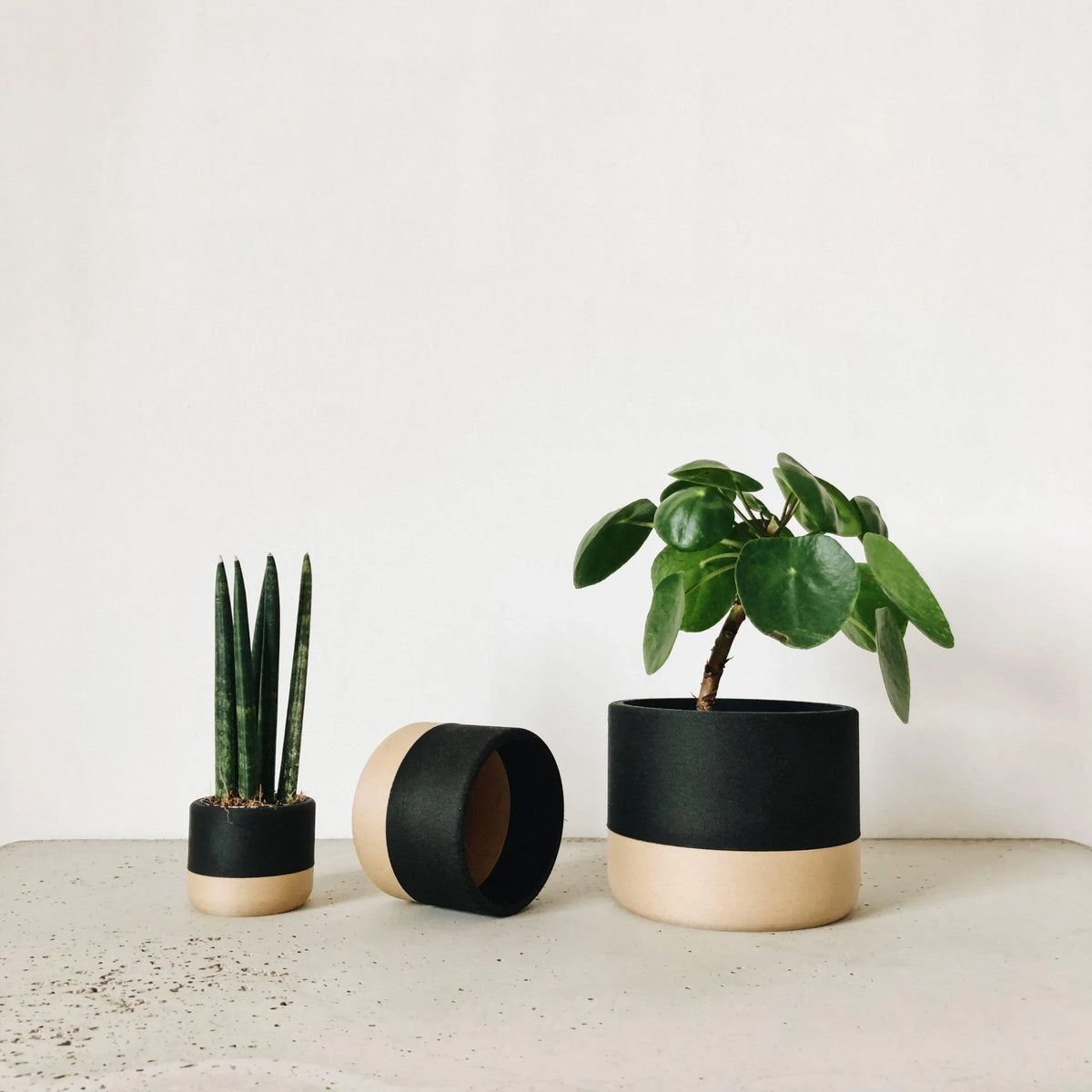 Wave vase Home decor