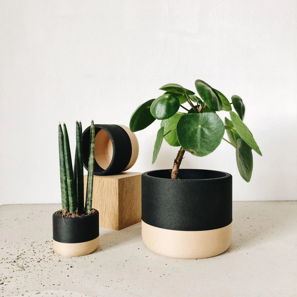 NAIROBI Indoor Planter - Minimum Design