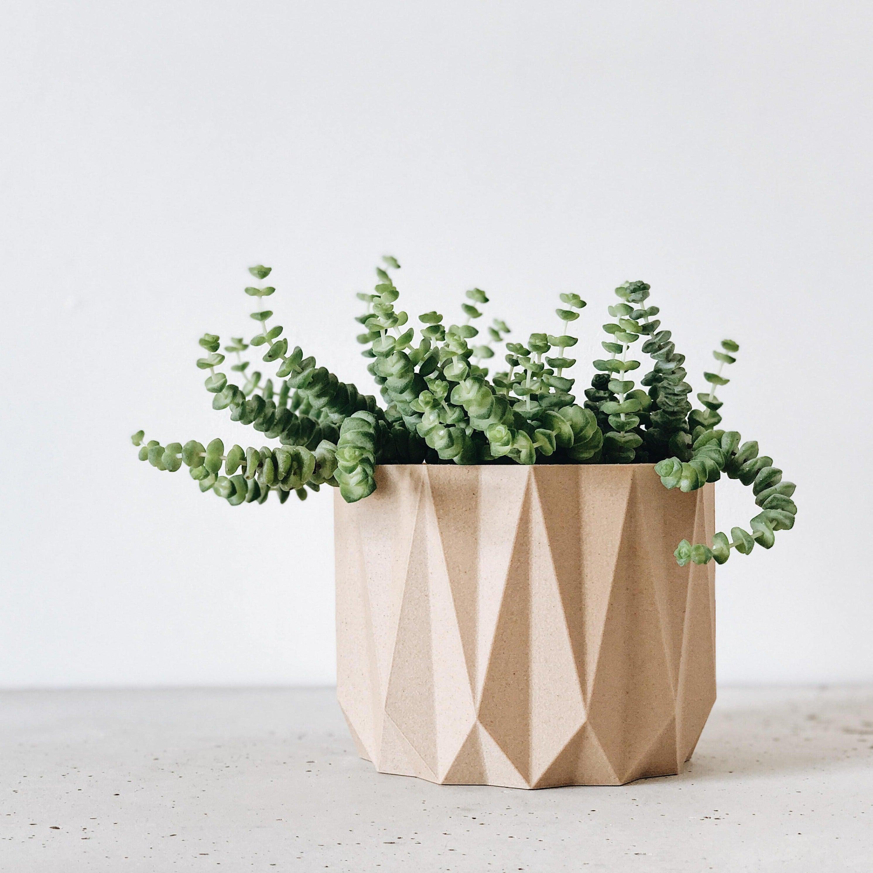 ORIGAMI Indoor Planter - Minimum Design #color_Natural