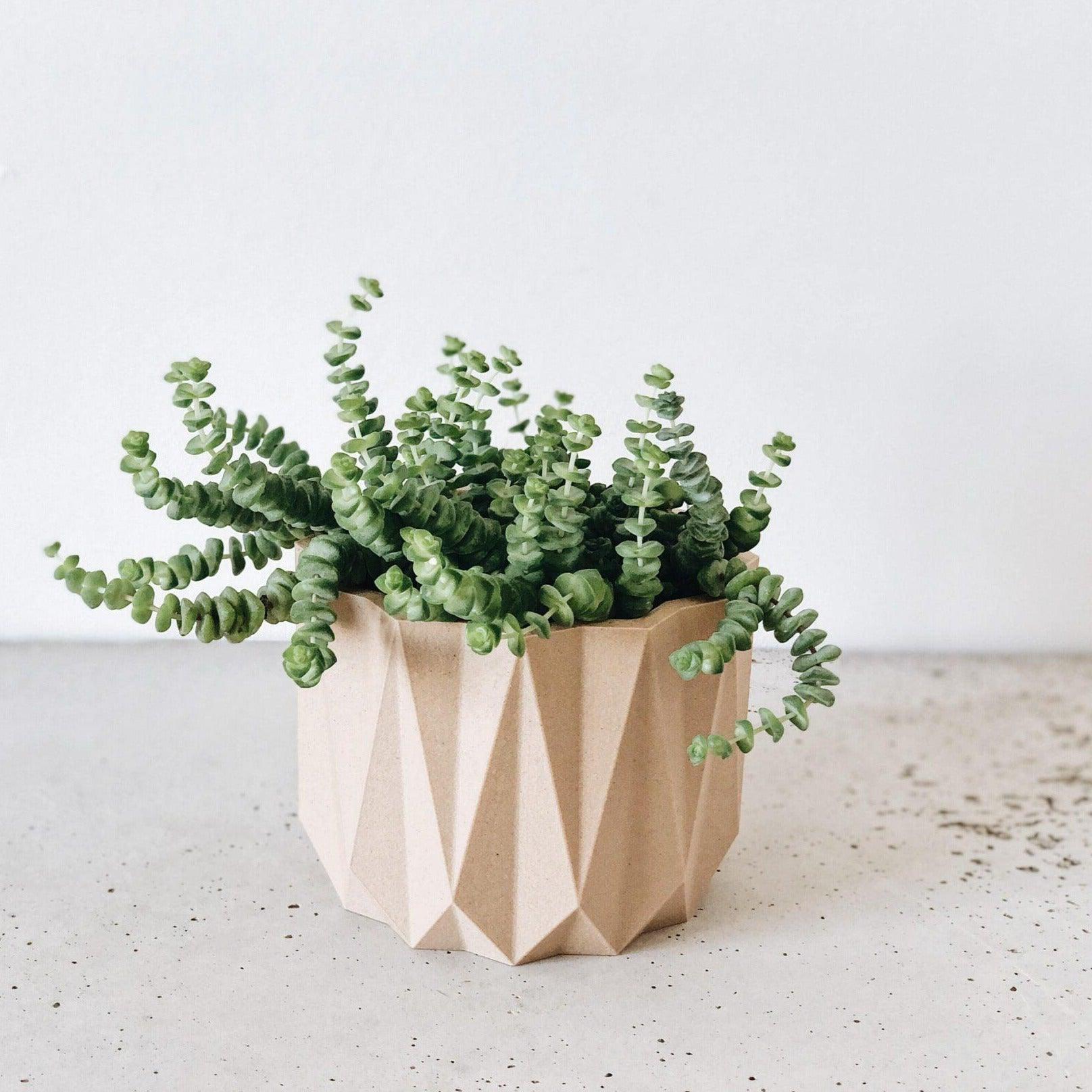 ORIGAMI Indoor Planter - Minimum Design #color_Natural