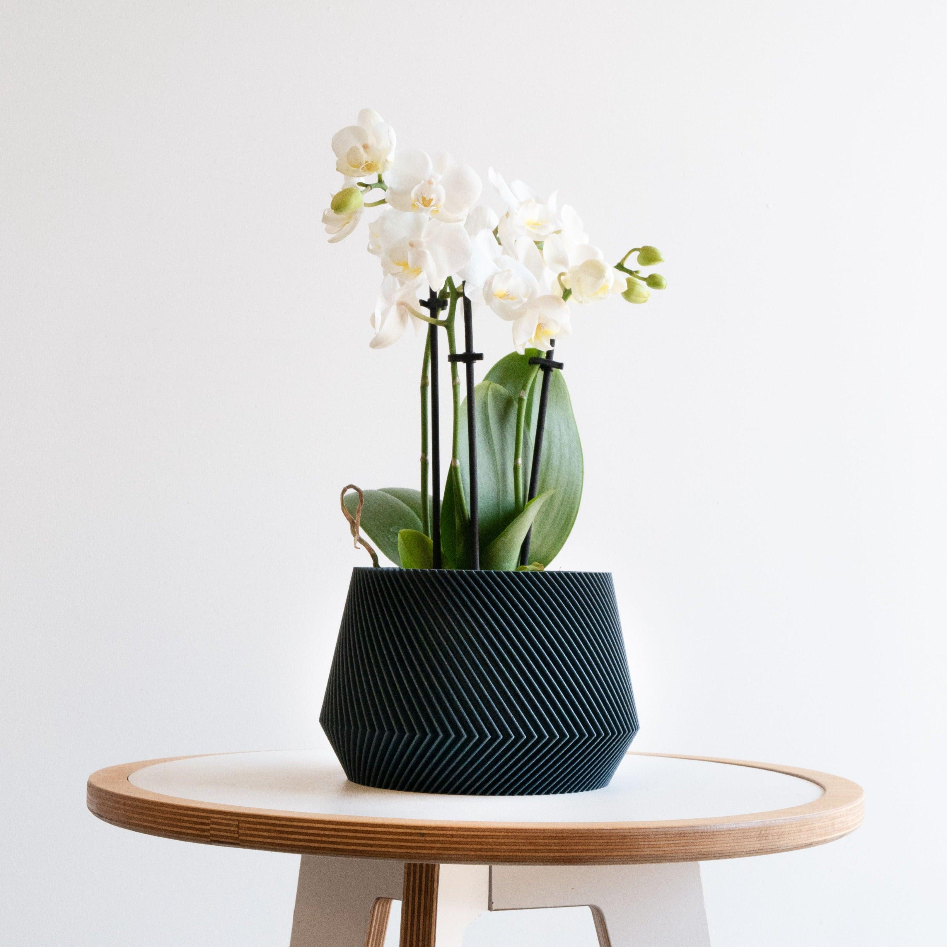 Oslo Indoor wooden planter - Scandinavian Japandi decor - Minimum design #color_blue