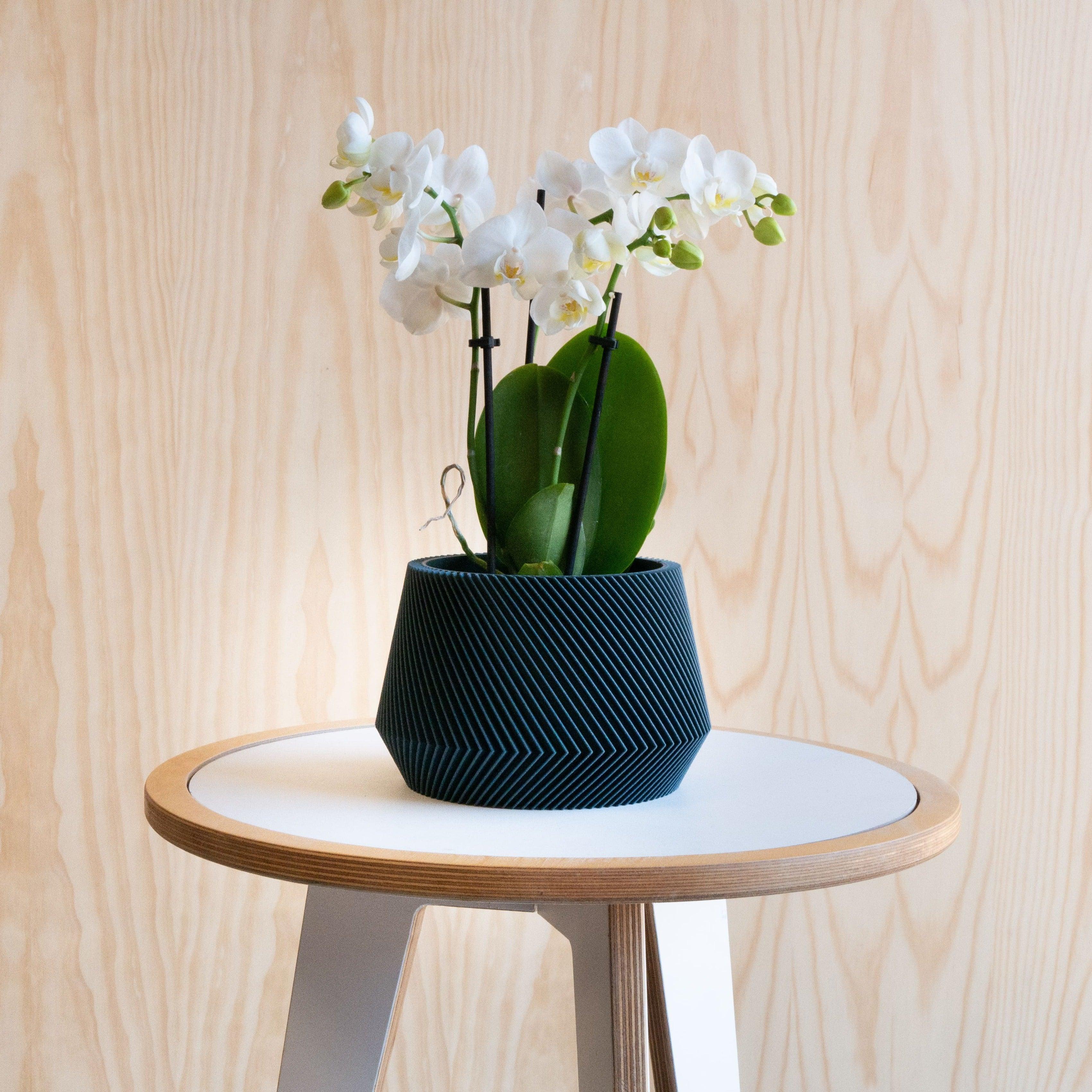 Oslo Indoor wooden planter - Scandinavian Japandi decor - Minimum design #color_blue