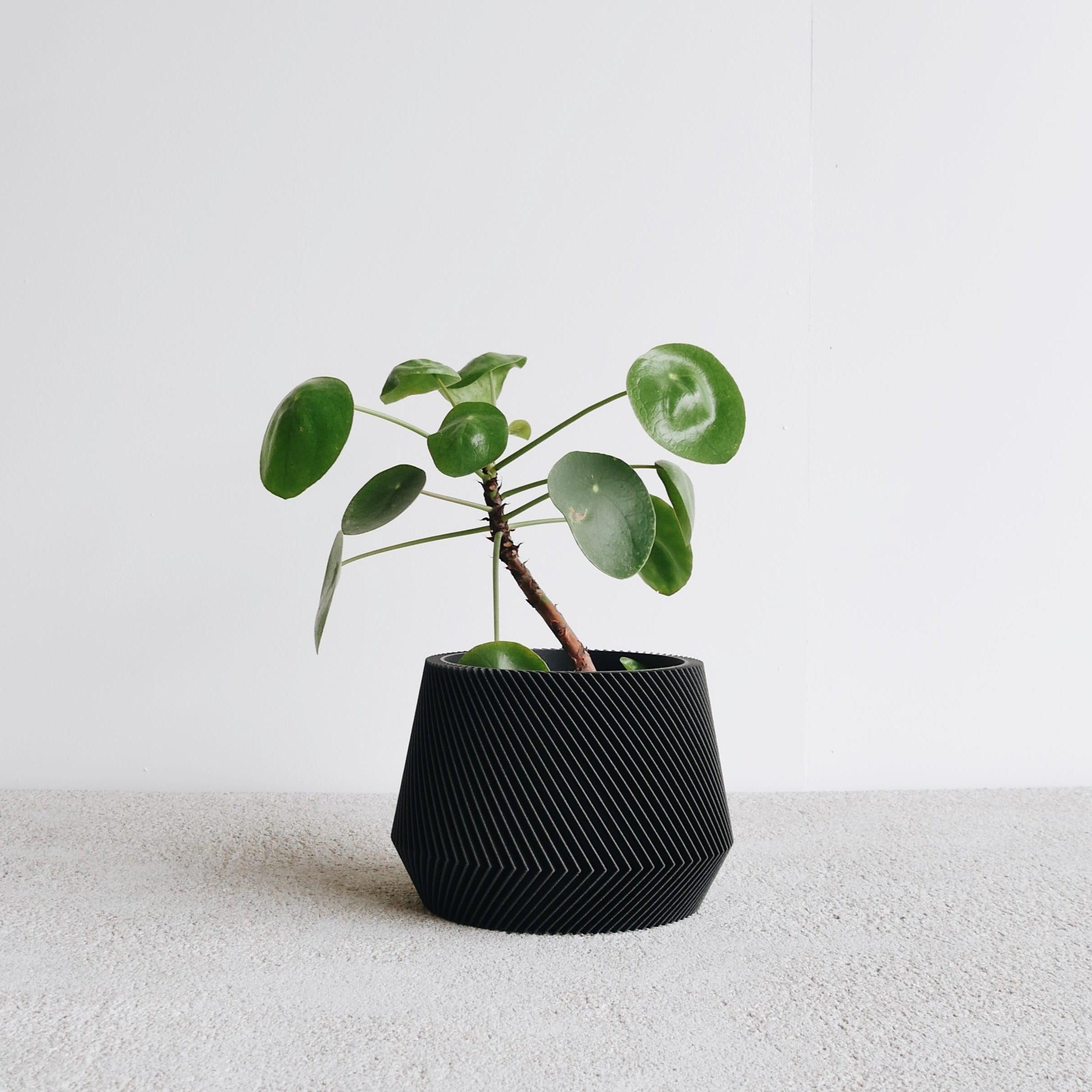 Black Oslo indoor planter