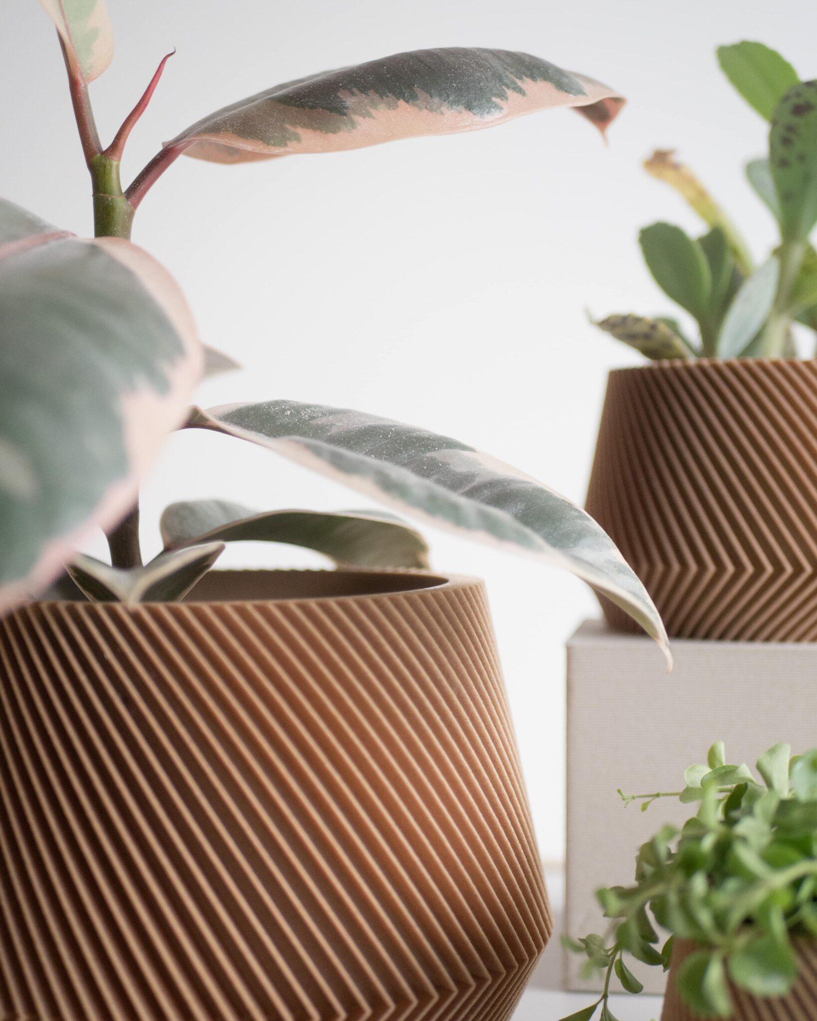 Oslo Indoor wooden planter - Scandinavian Japandi decor - Minimum design #color_natural