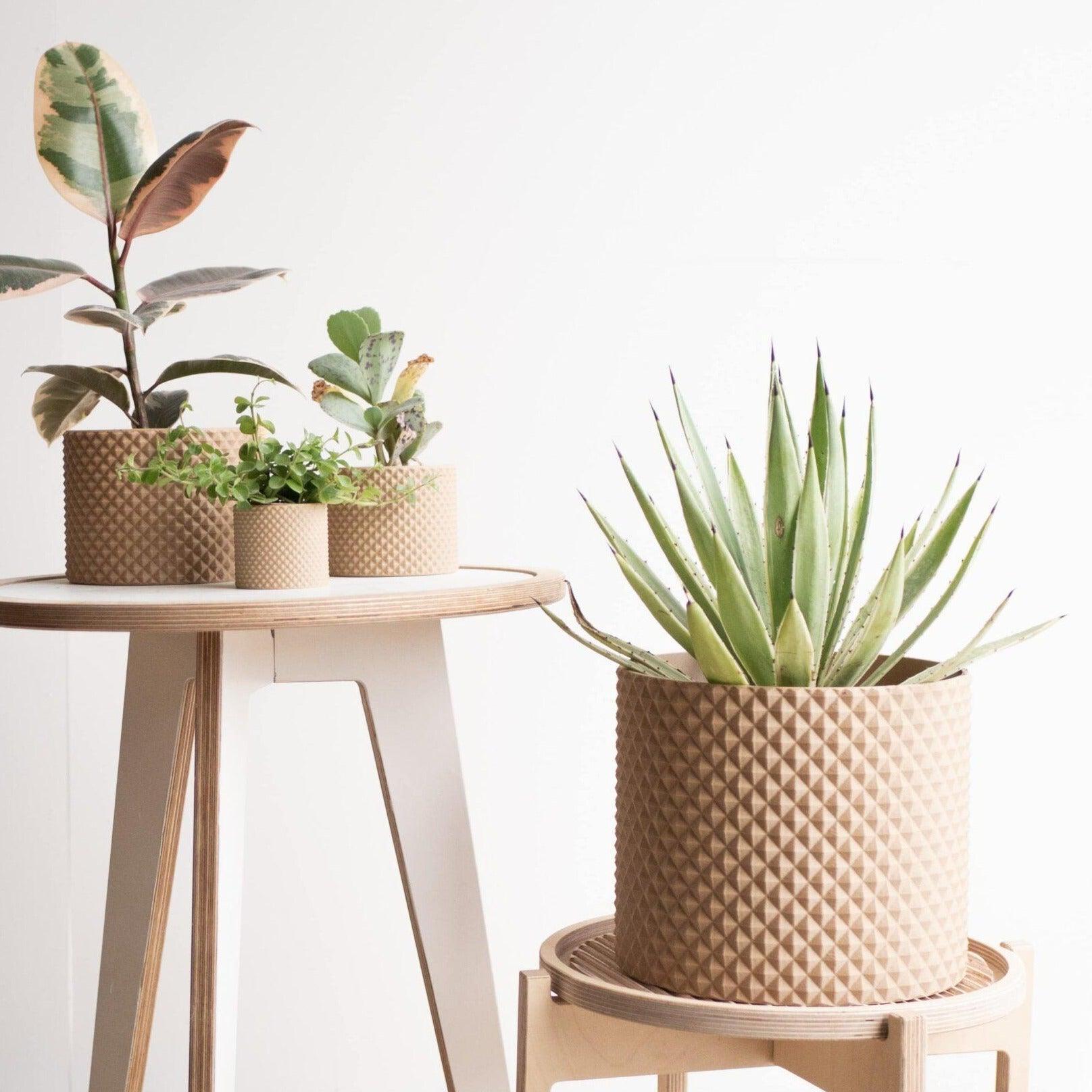 large piko planter