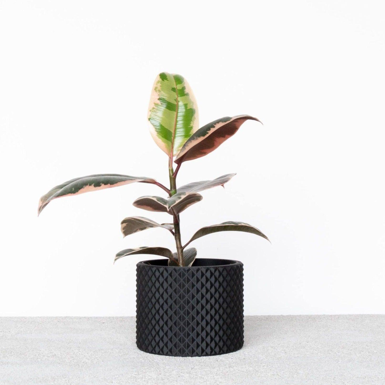 PIKO indoor planter