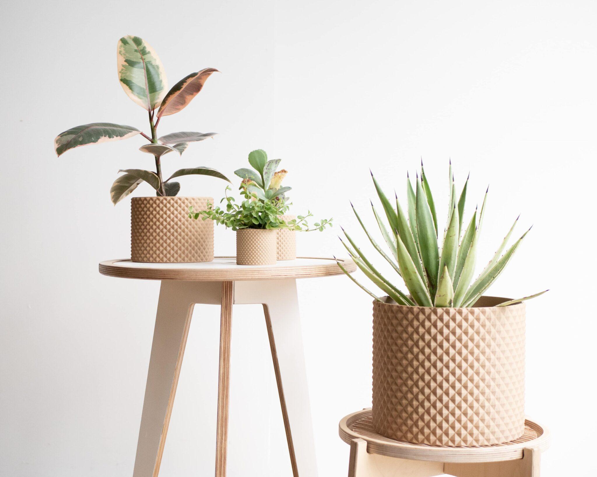 large piko planter