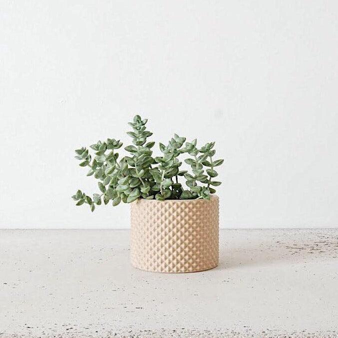 PIKO Indoor Planter - Minimum Design