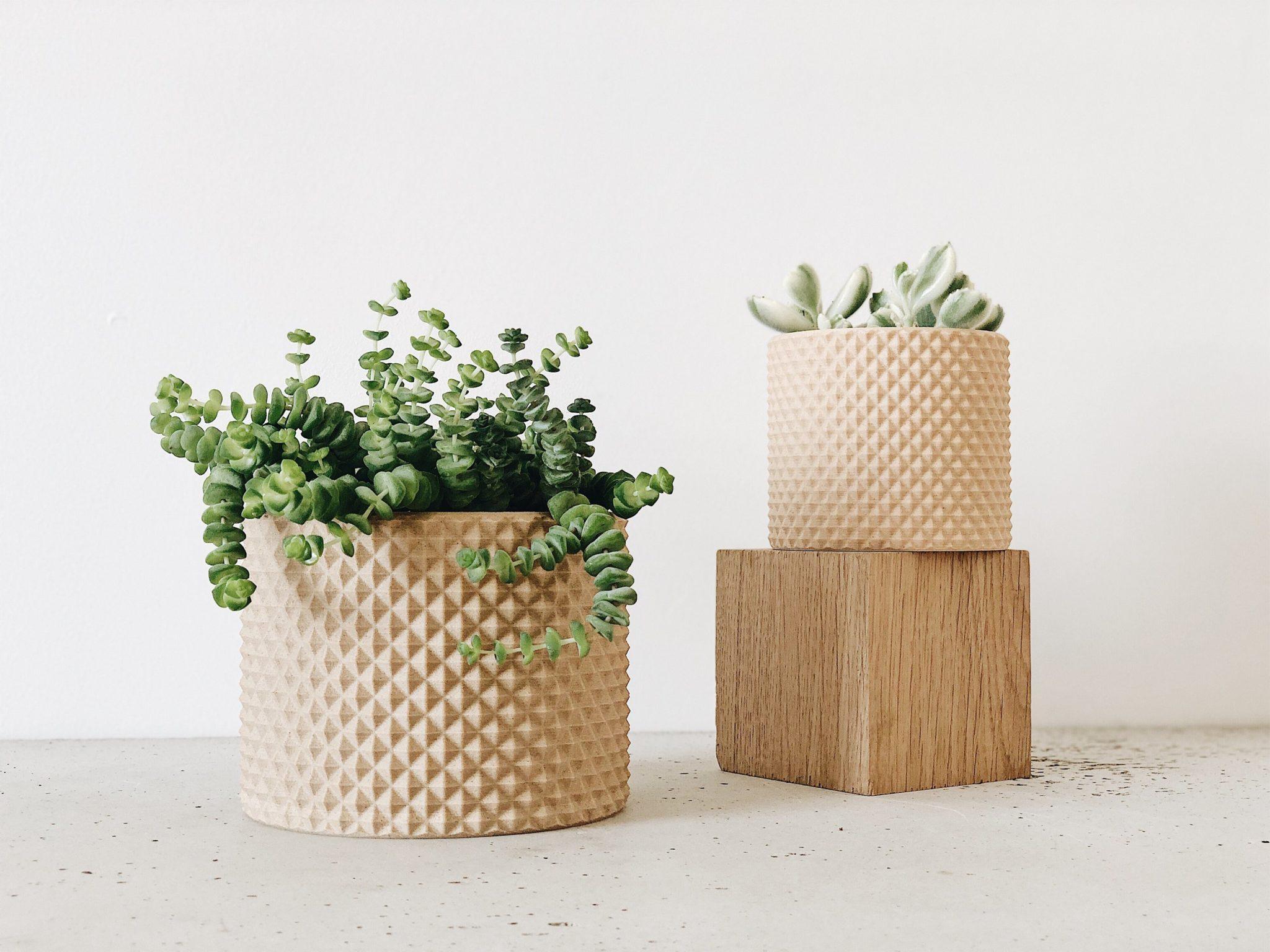 PIKO Indoor Planter - Minimum Design