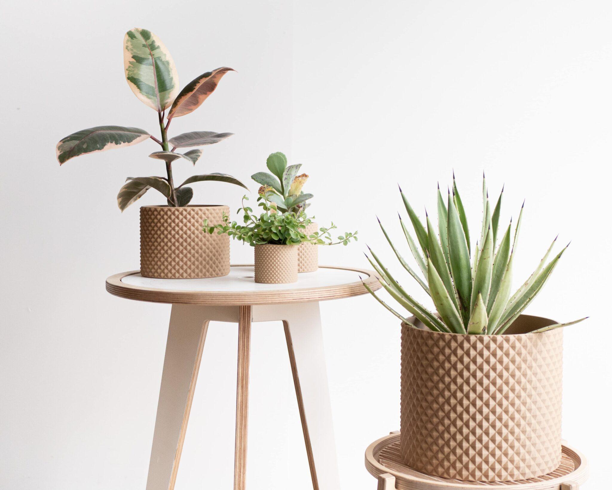 large piko planter