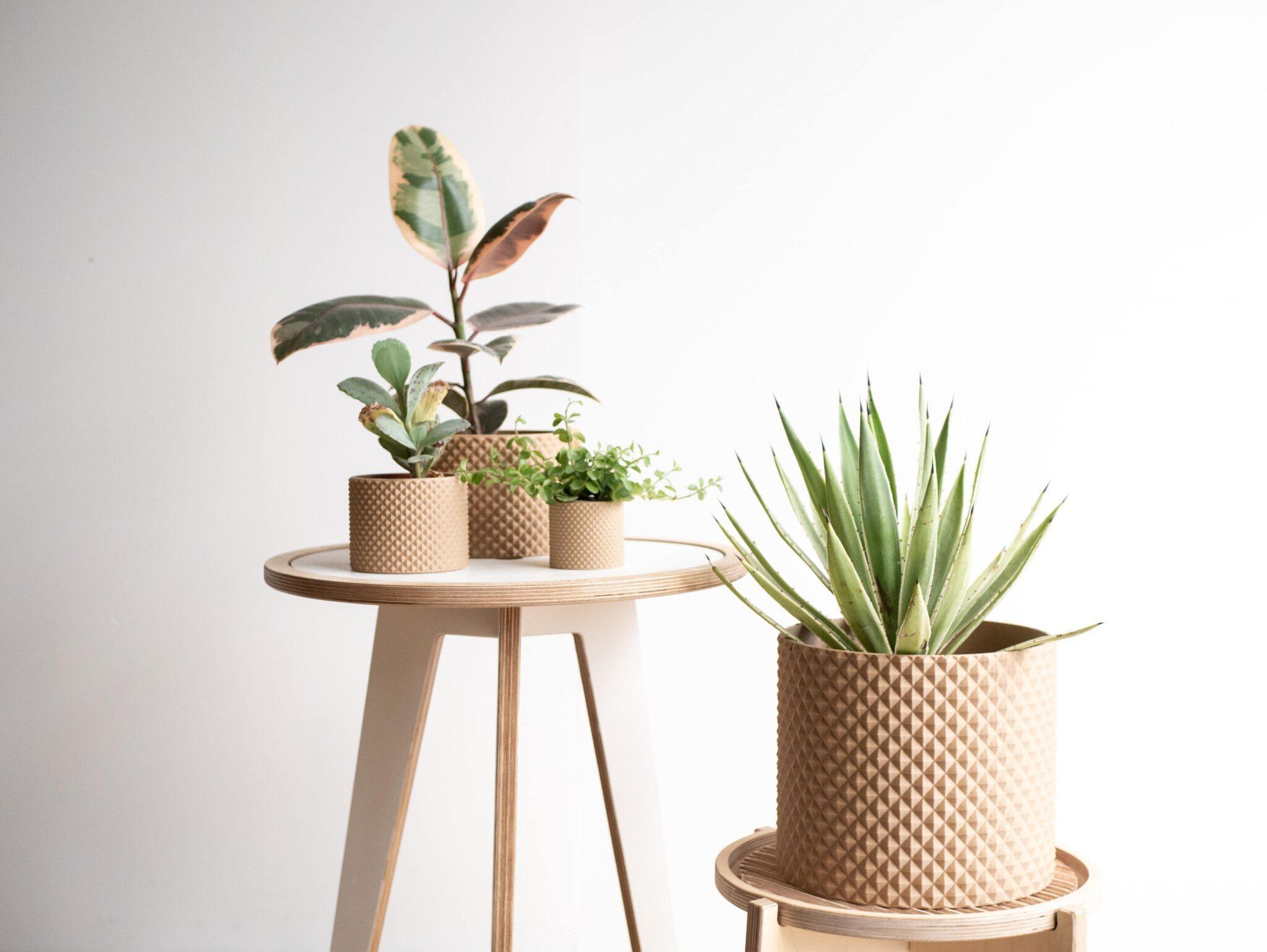 large piko planter