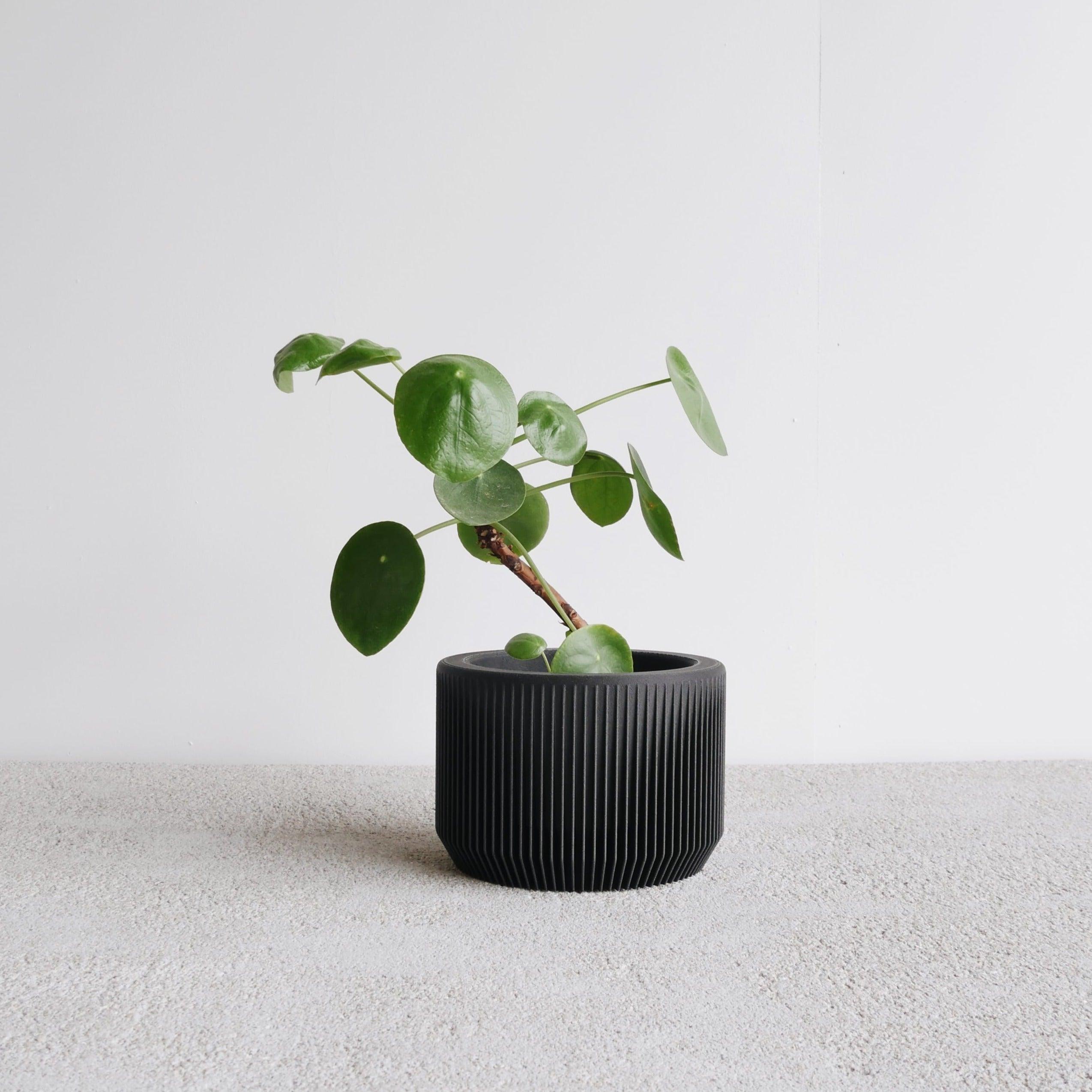 Black Praha indoor planter