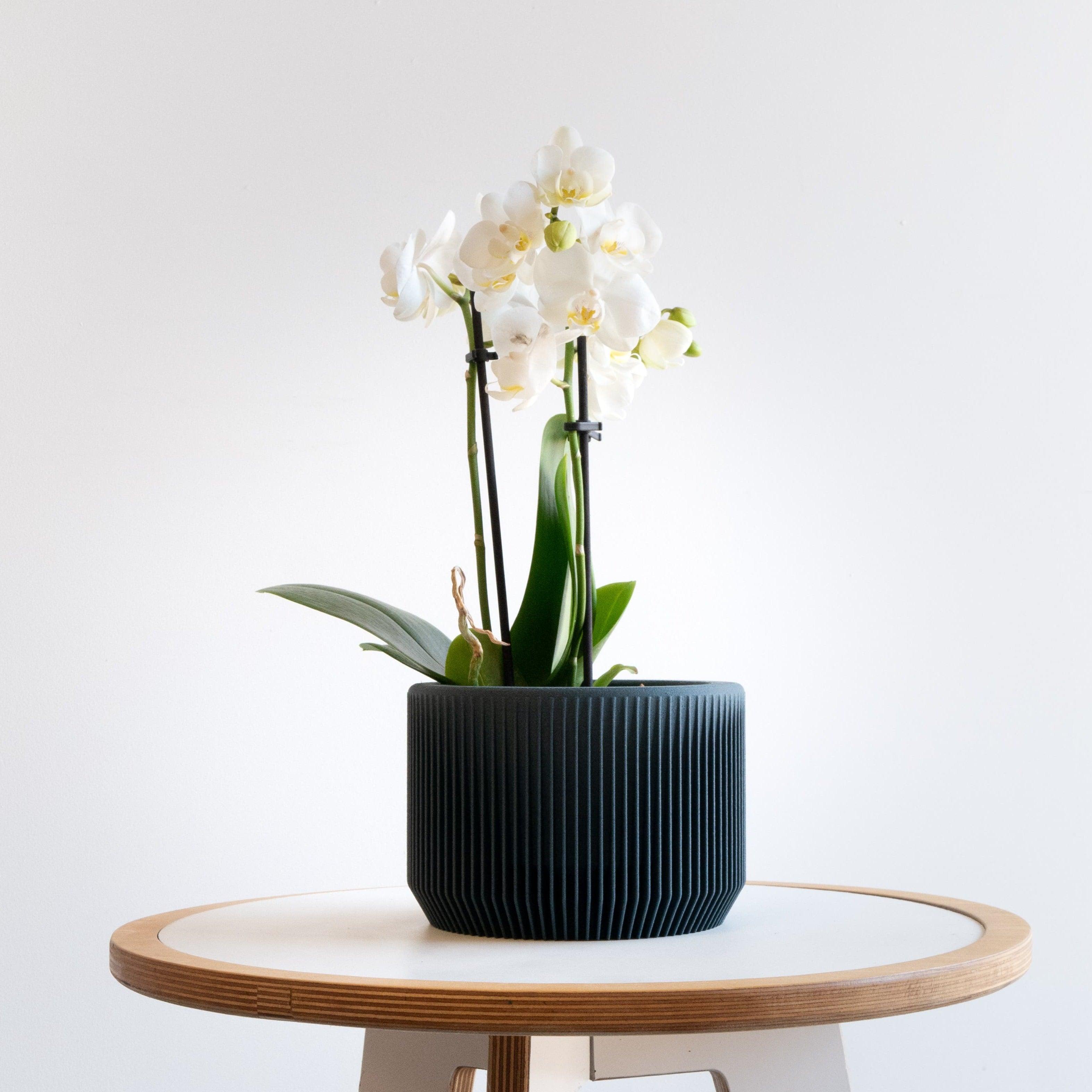 PRAHA Indoor Planter - Minimum Design #color_Blue