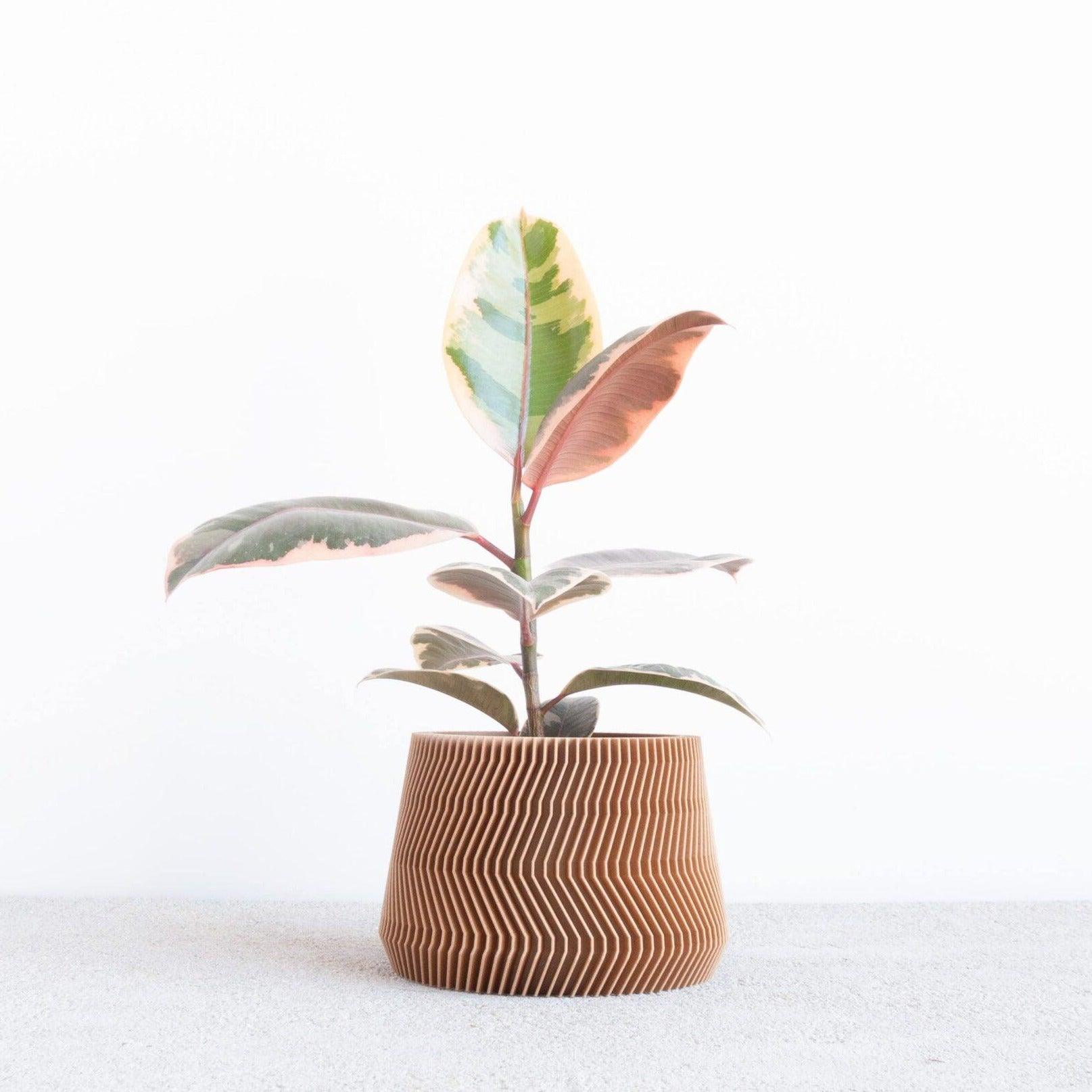 savanne wood indoor planter #color_Natural
