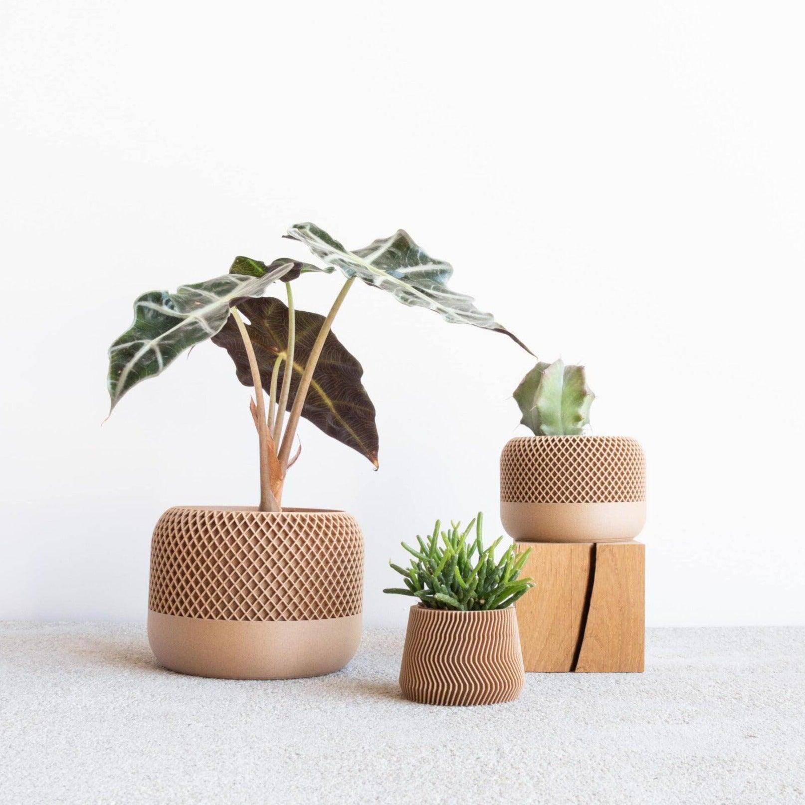 apple wood indoor planter #color_Natural