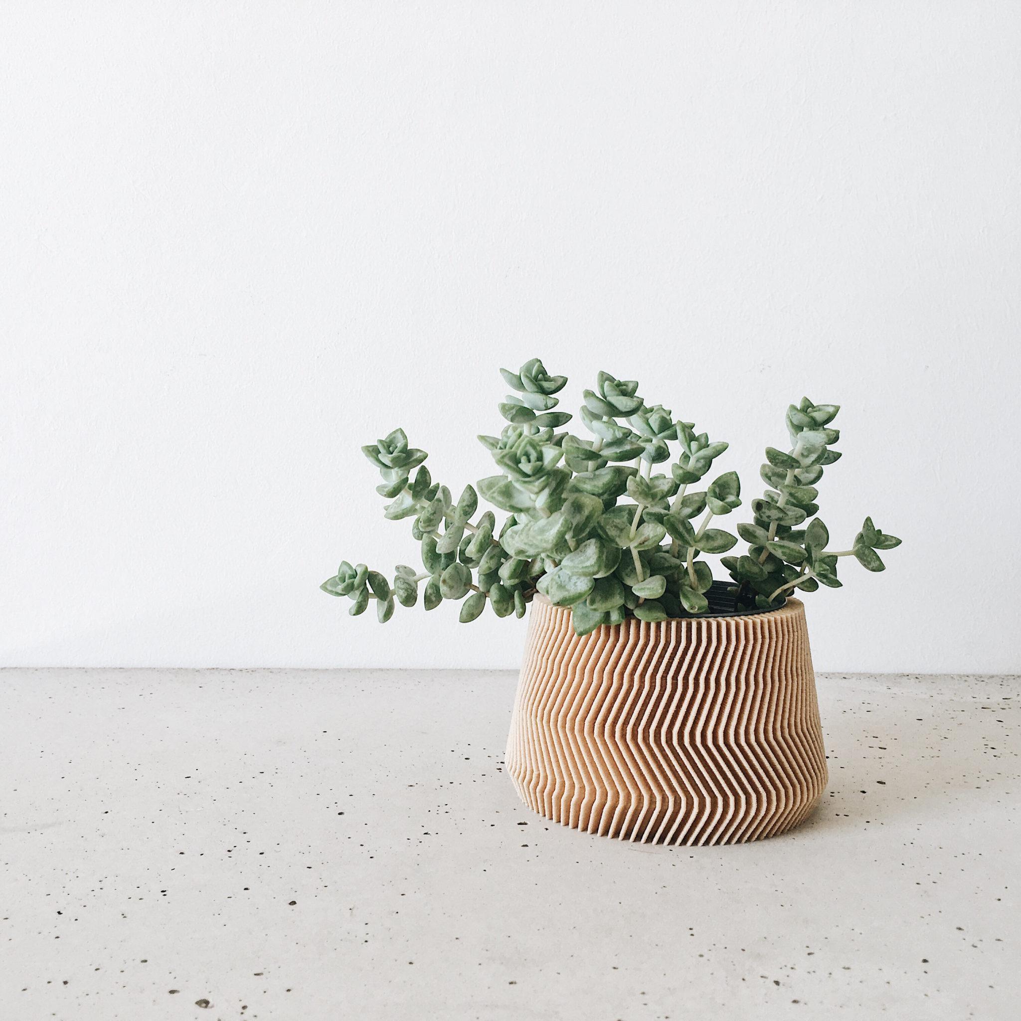 SAVANNE Indoor Planter - Minimum Design #color_Natural