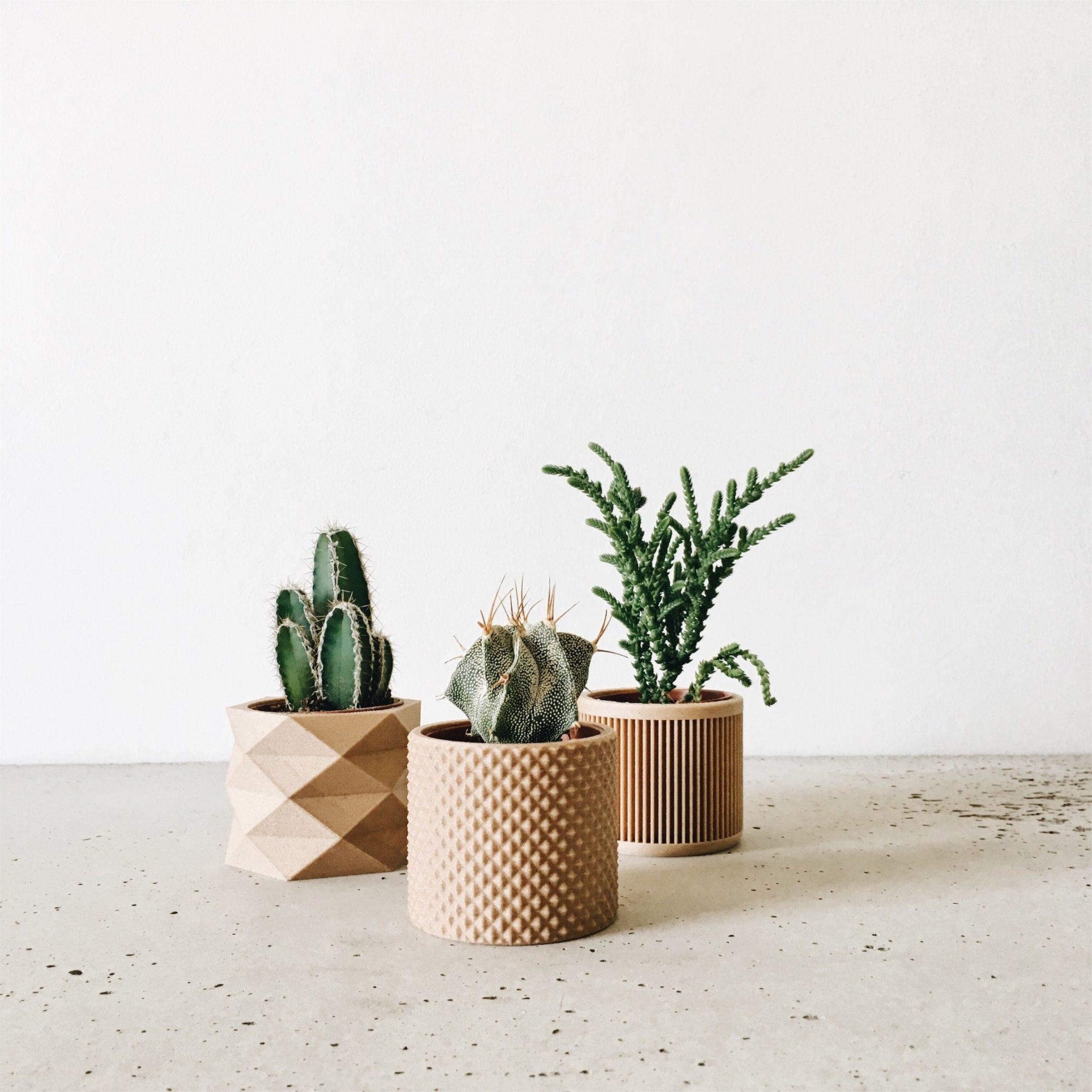 Set of 3 planters - Piko Diamant Japan - Minimum Design