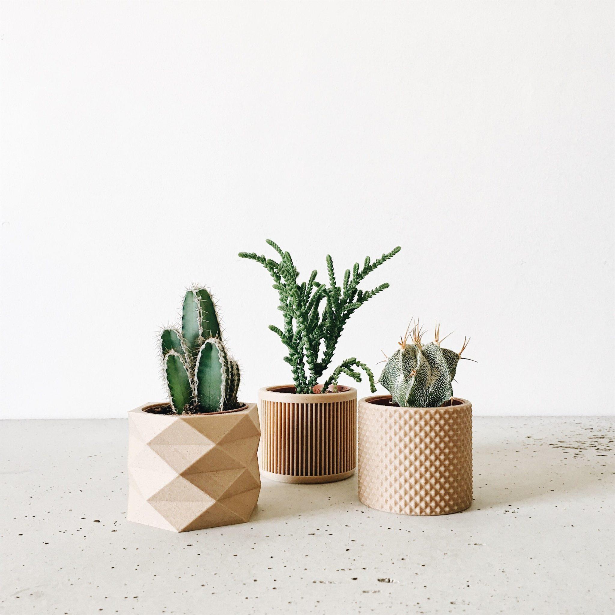 Set of 3 planters - Piko Diamant Japan - Minimum Design
