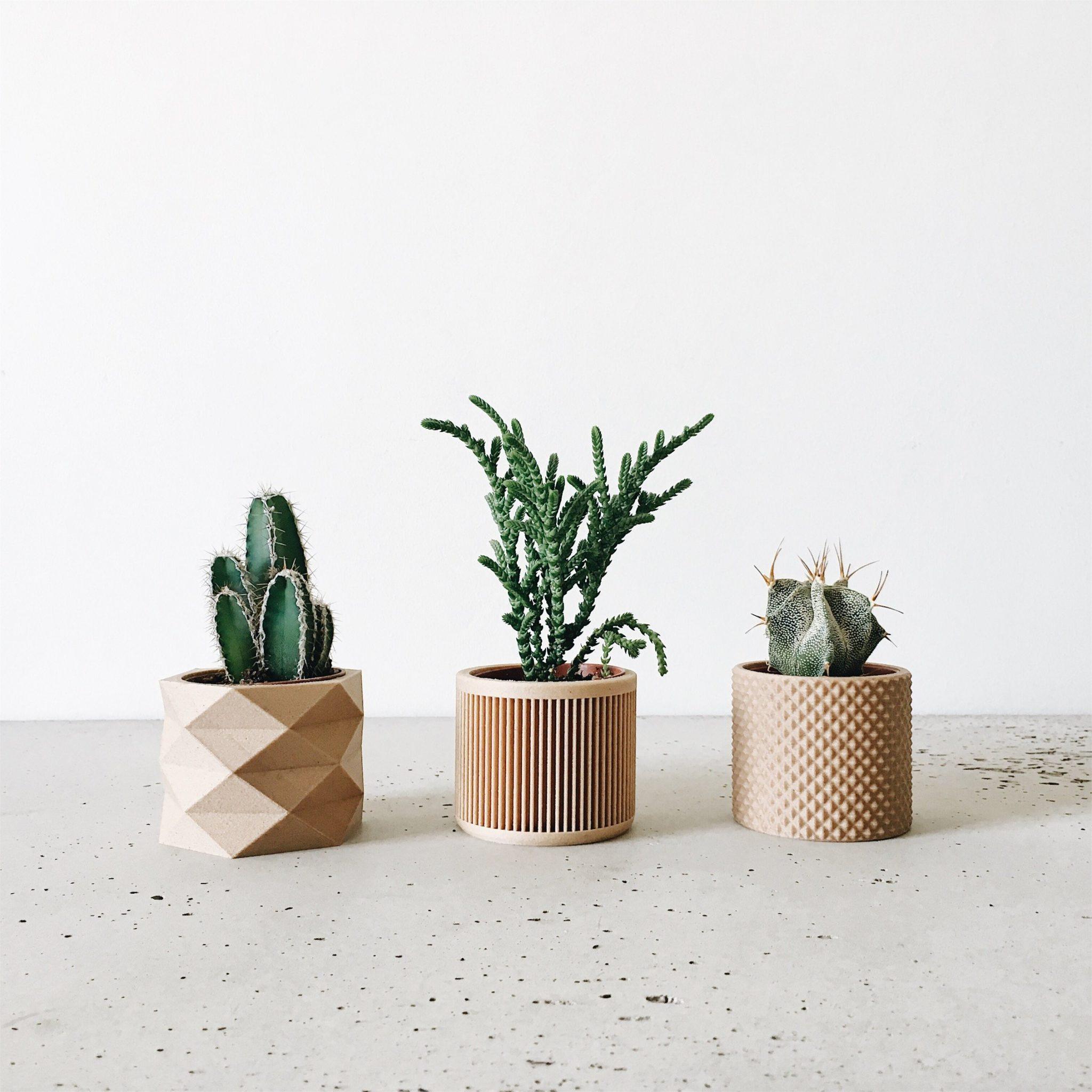 Set of 3 planters - Piko Diamant Japan - Minimum Design