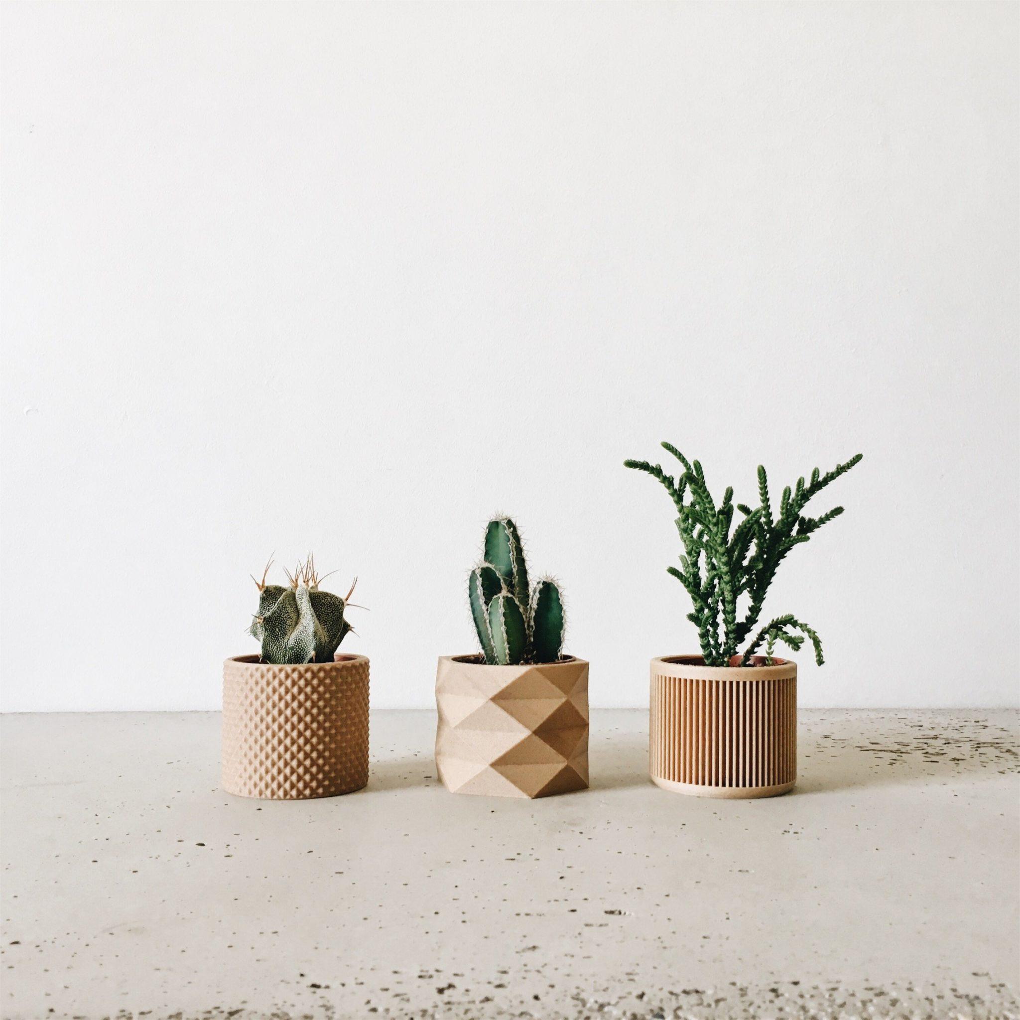 Set of 3 planters - Piko Diamant Japan - Minimum Design