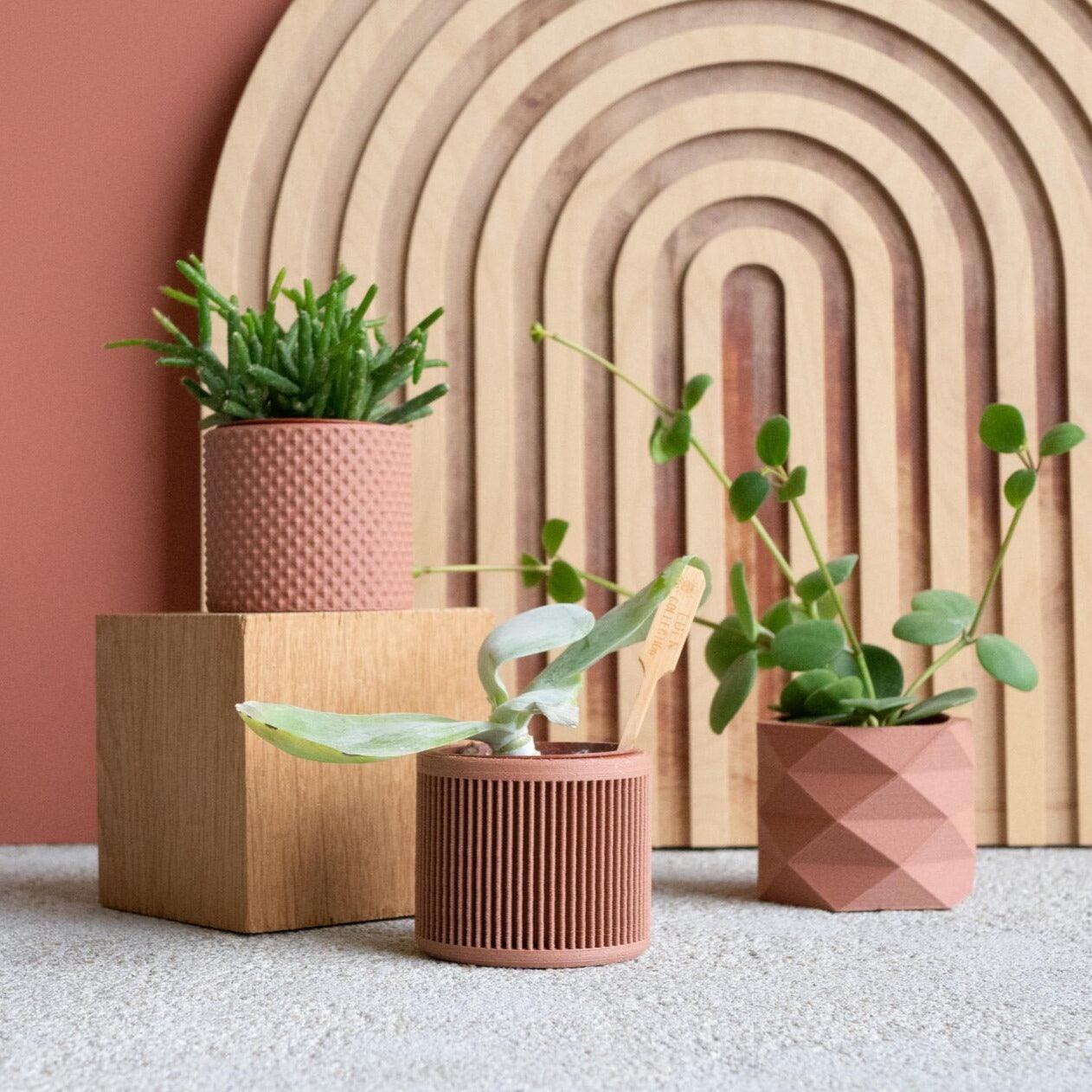 Set of 3 planters terracotta