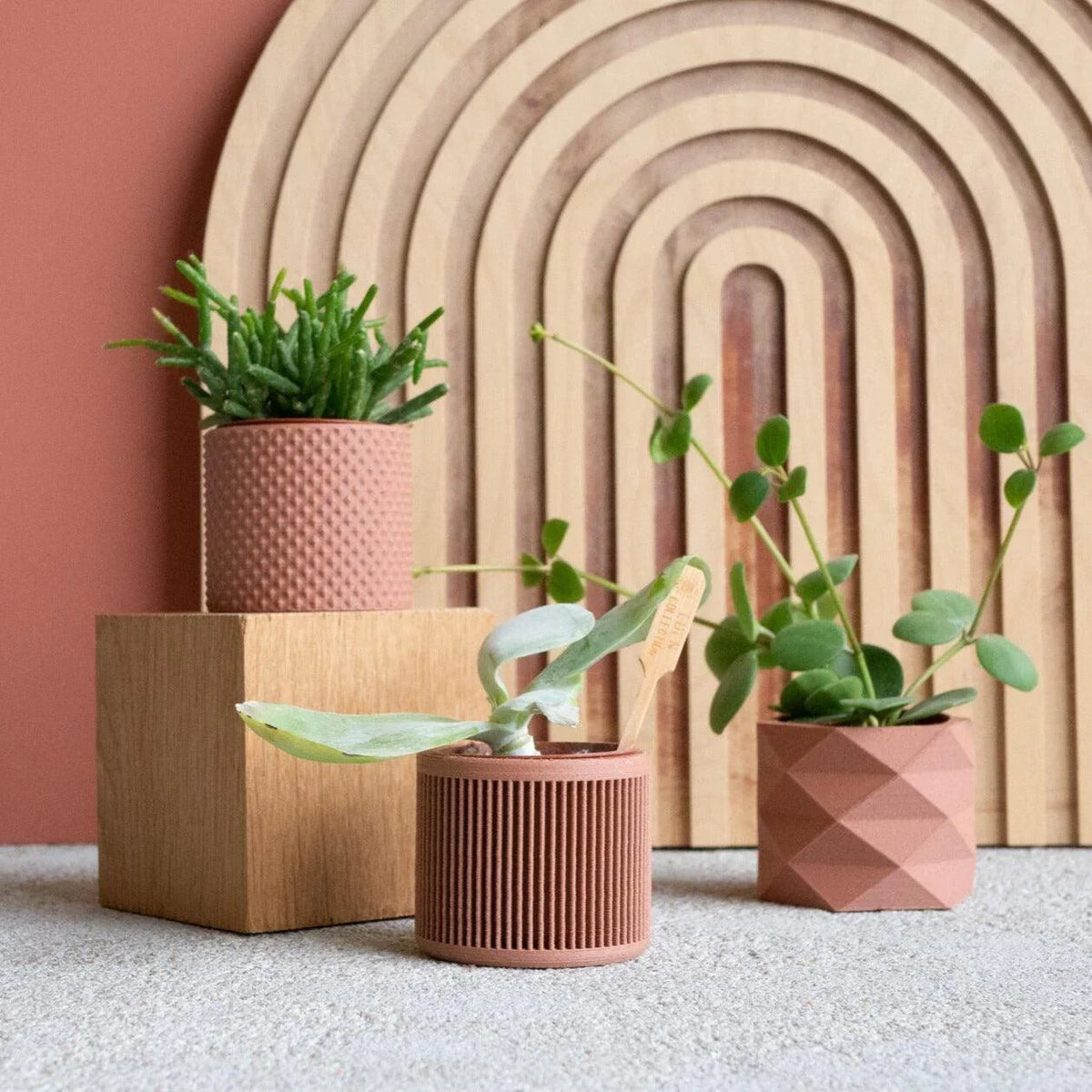 Set of 3 planters terracotta