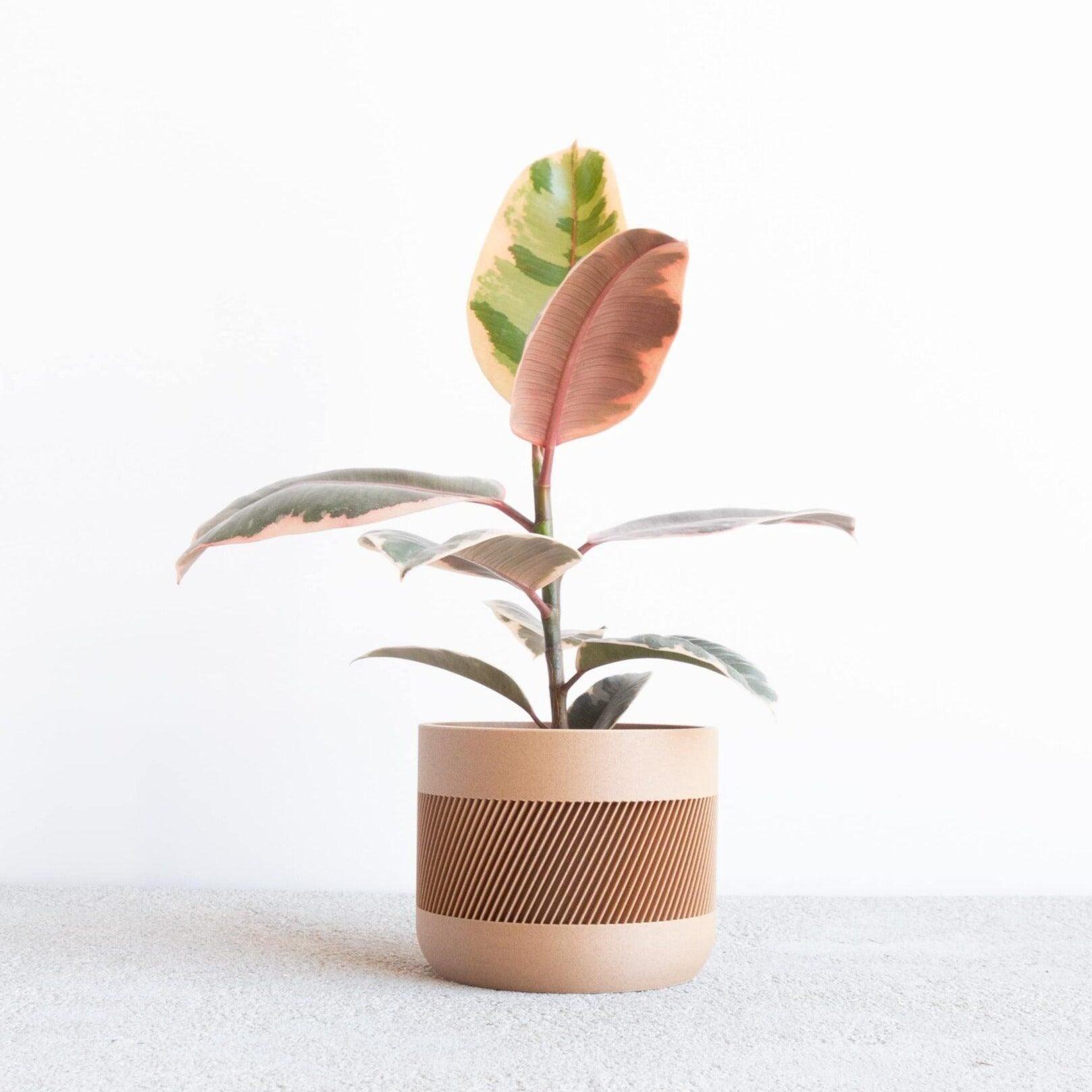THERMA Indoor Planter - Minimum Design