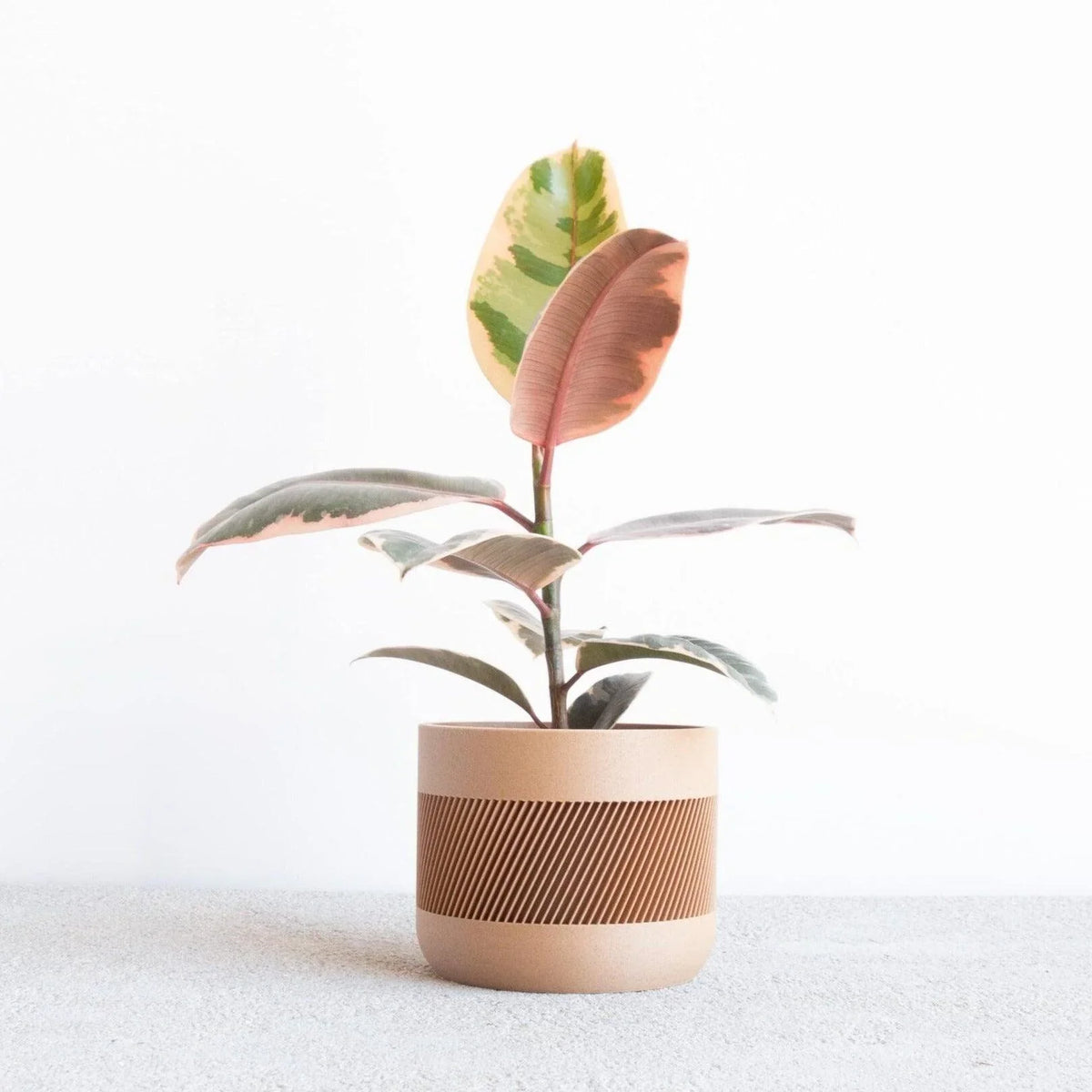 THERMA Indoor Planter - Minimum Design
