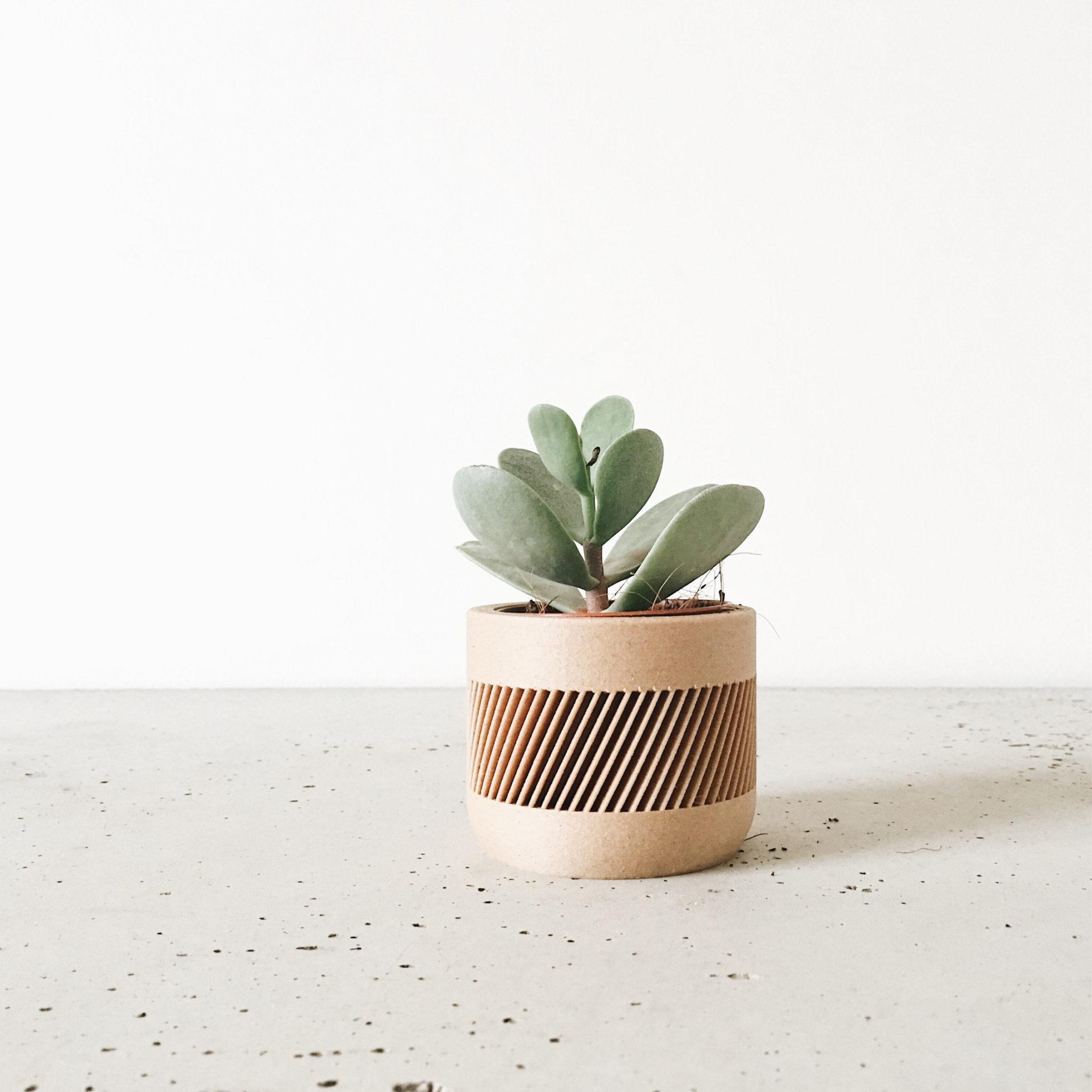 THERMA Indoor Planter - Minimum Design