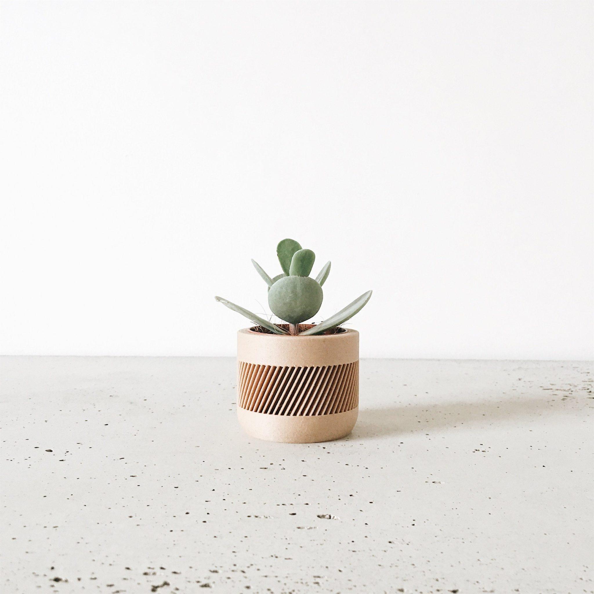 THERMA Indoor Planter - Minimum Design