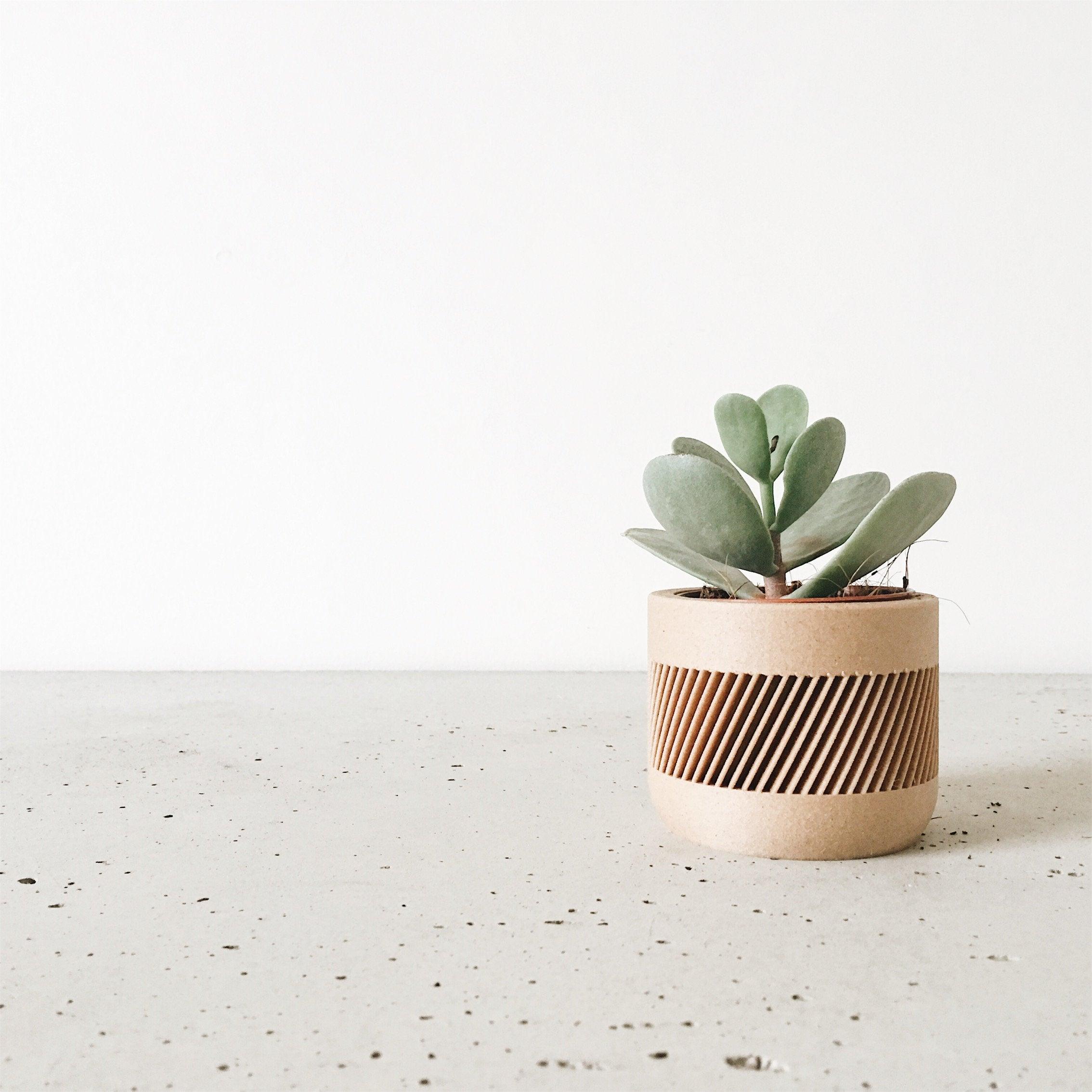 THERMA Indoor Planter - Minimum Design
