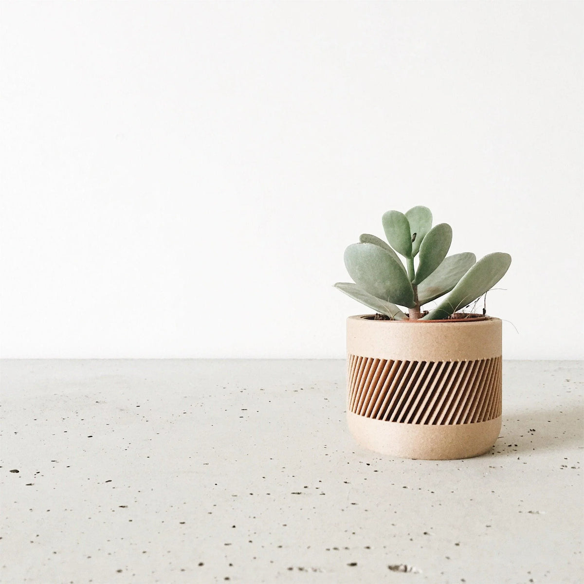 THERMA Indoor Planter - Minimum Design