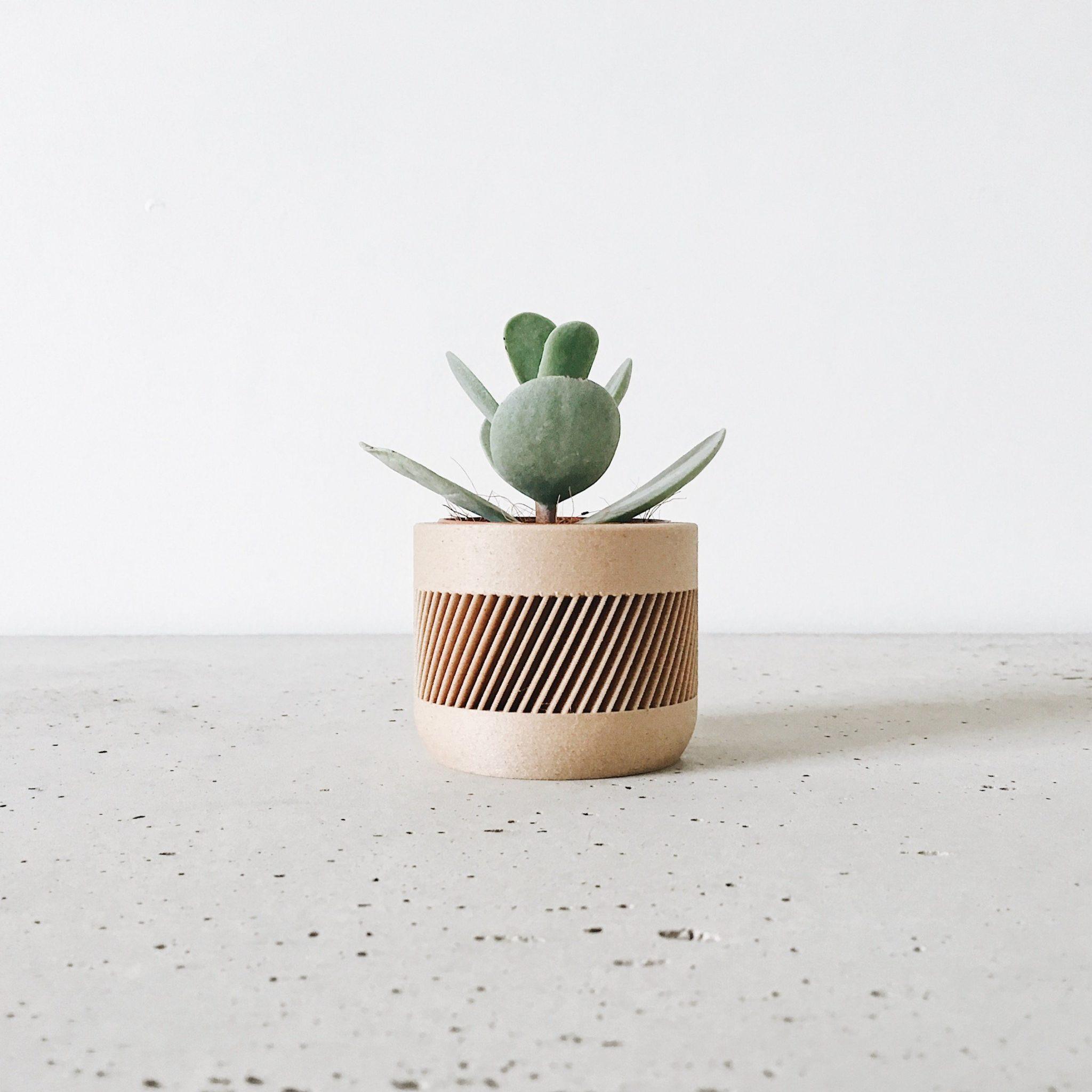 THERMA Indoor Planter - Minimum Design